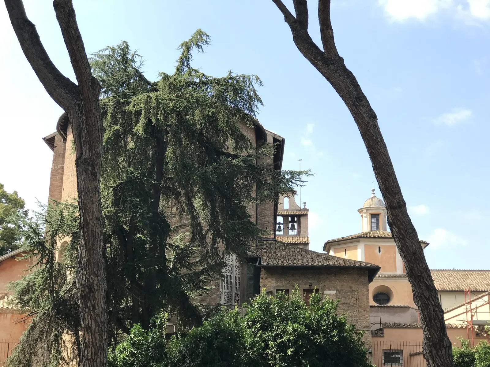 Santa Sabina's medieval bell tower seen through umbrella pines from the Orange Garden.