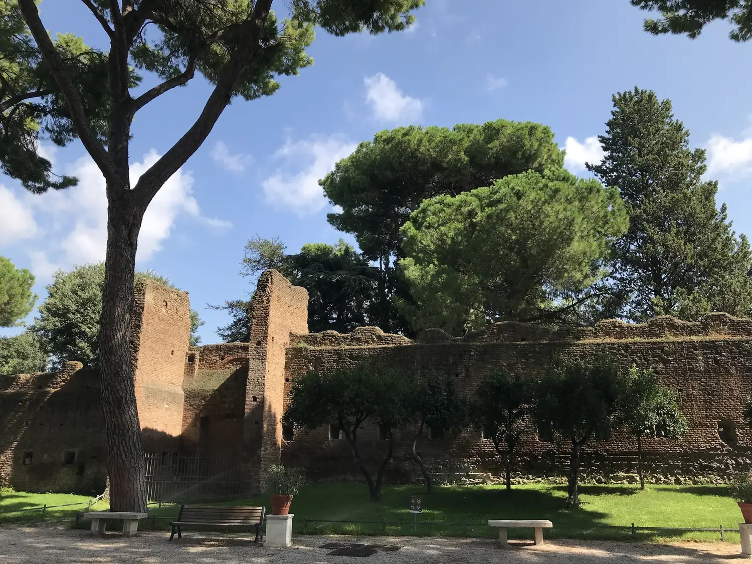 Ruined medieval brick wall among pines and grass in Parco Savello on the Aventine.