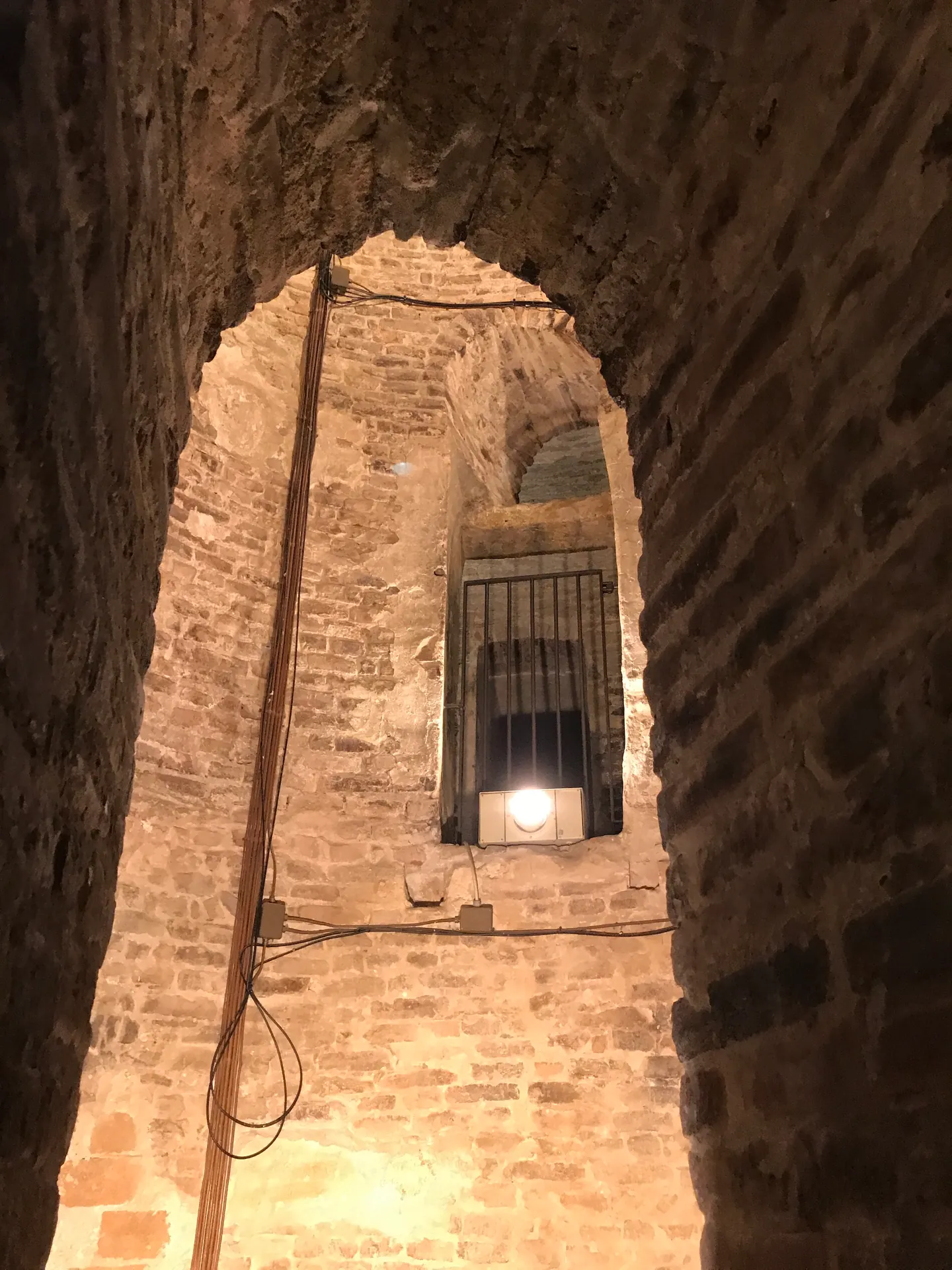 Arched stone window opening high in the bell tower framing a distant Bologna tower.