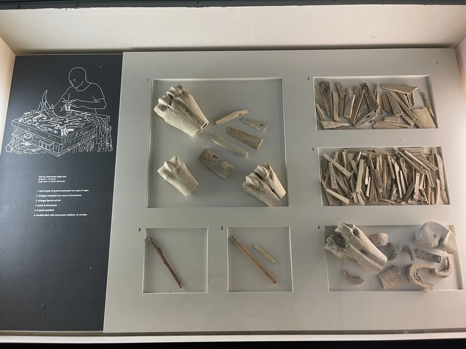 Display of Roman surgical instruments found at the Domus del Chirurgo Rimini