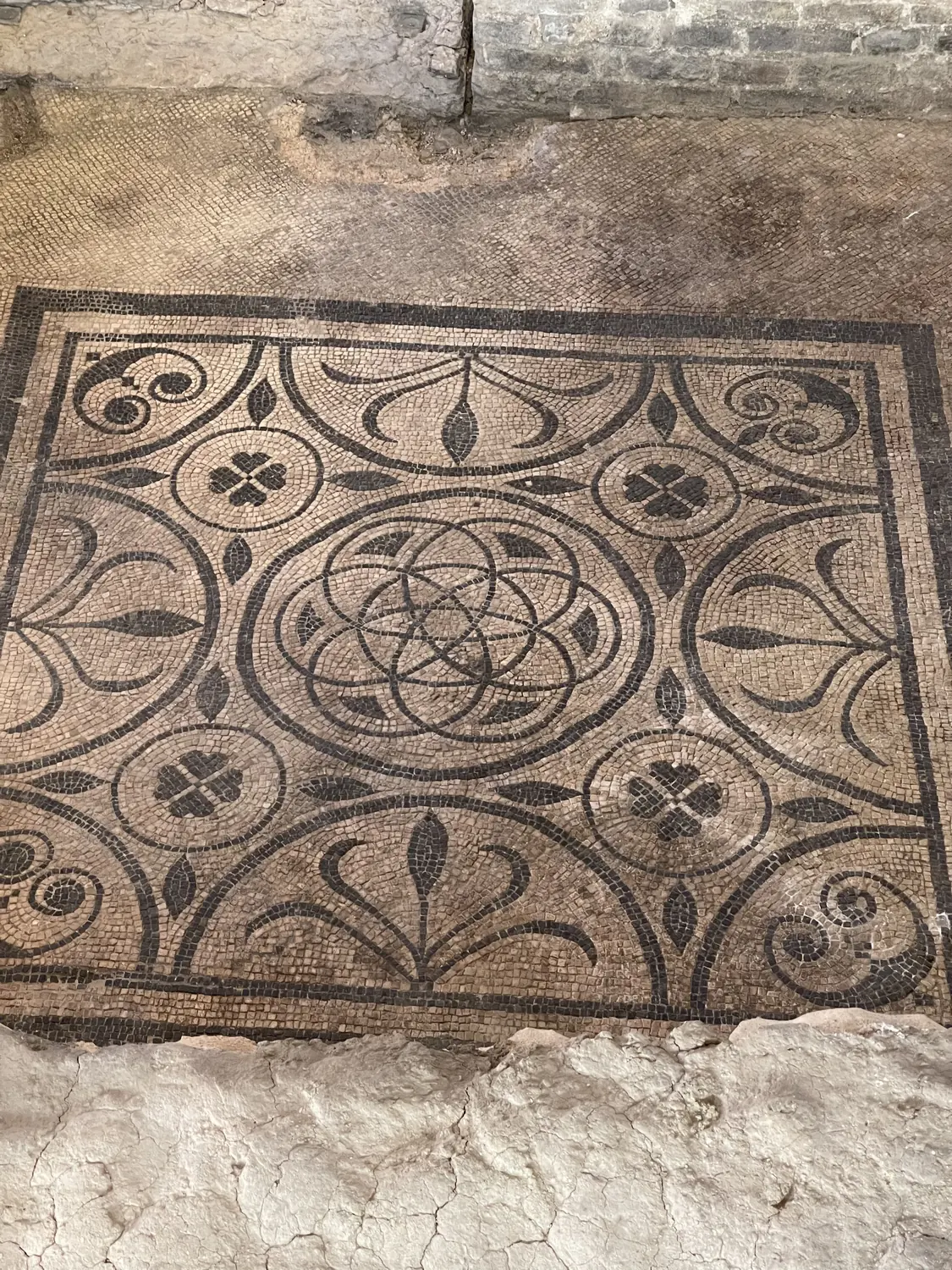Black and white geometric Roman mosaic floor at the Domus del Chirurgo Rimini