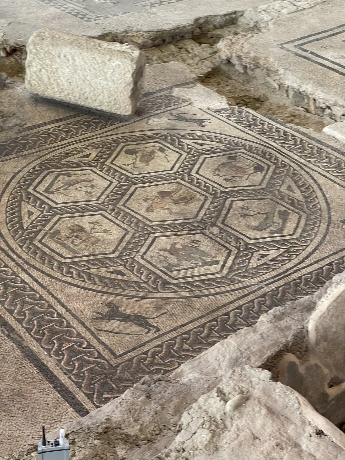 Patterned Roman mosaic floor beside a fallen column drum at the Domus del Chirurgo