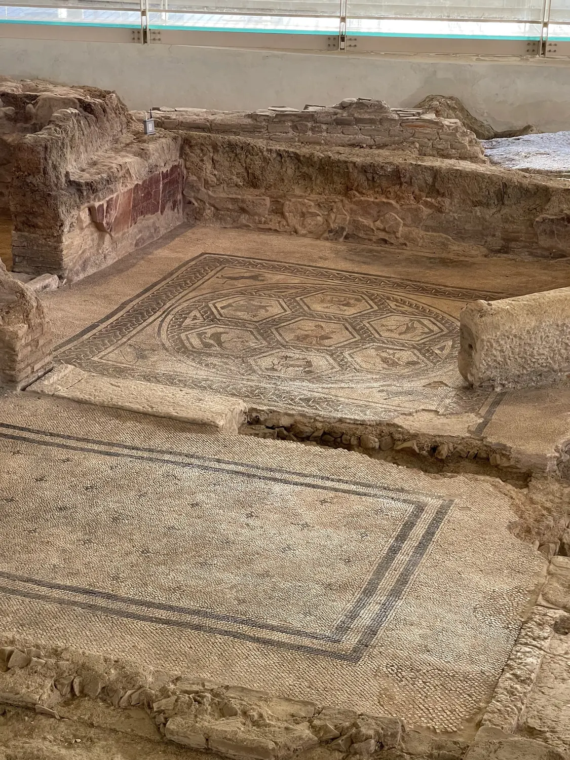 In-situ Roman mosaic floor and painted wall at the Domus del Chirurgo Rimini