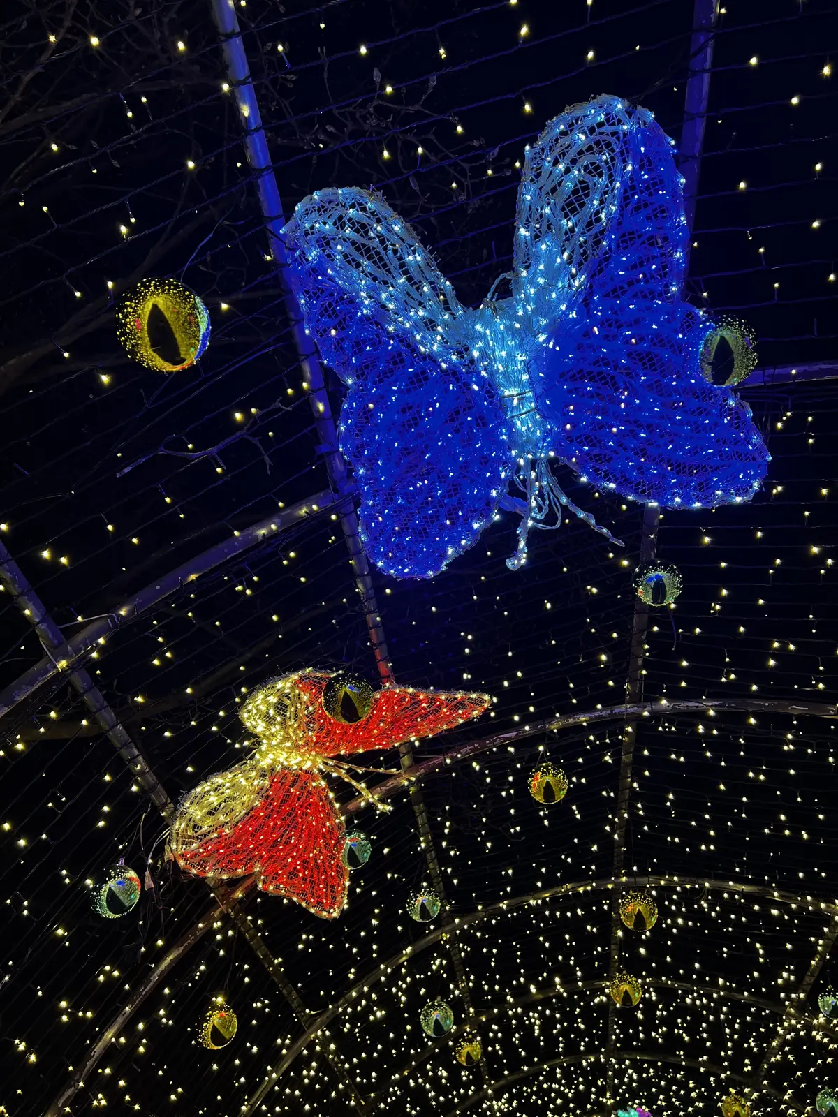 Blue and red illuminated butterflies on a dome of lights, Garden of Morning Calm