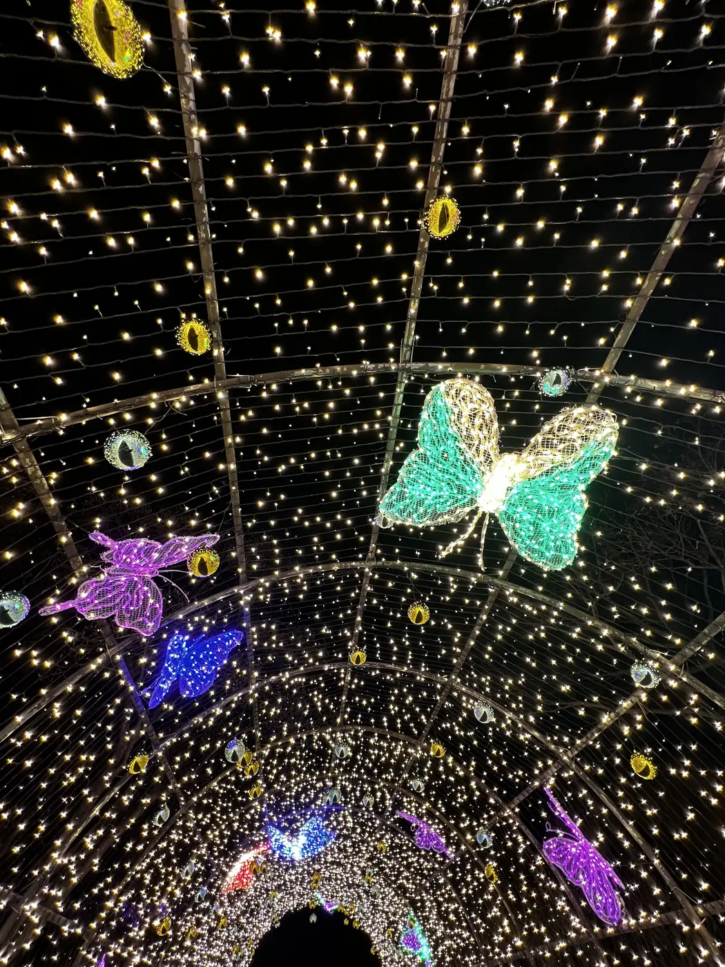 A tunnel of lights with glowing butterflies at the Garden of Morning Calm
