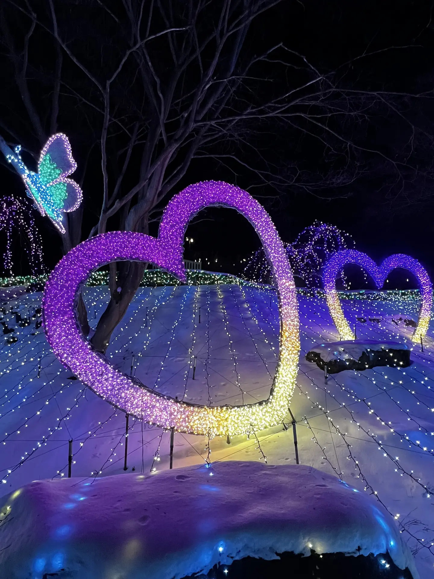 A glowing heart and butterfly of lights on a hillside, Garden of Morning Calm