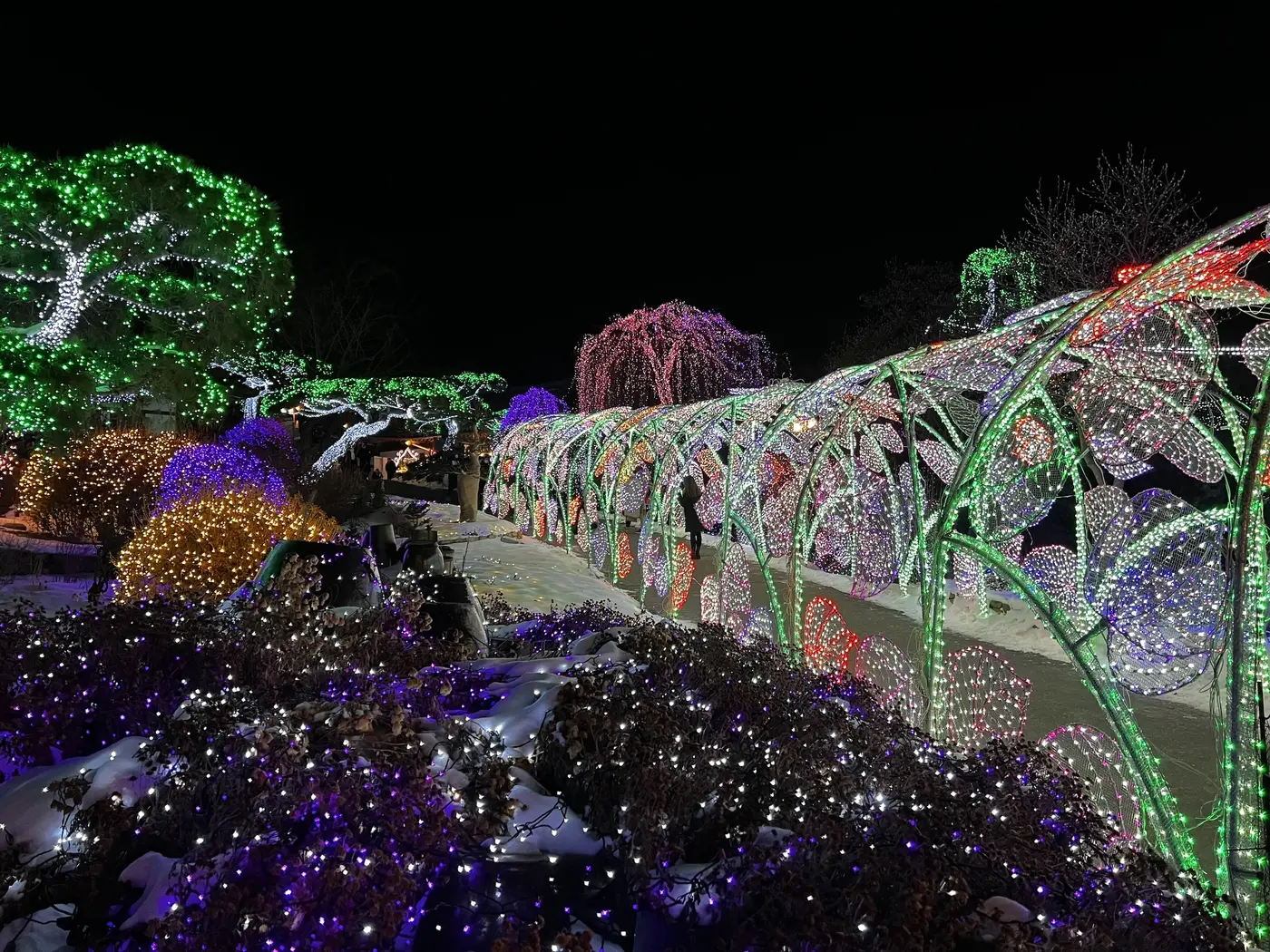 A hillside traced with ribbons of colored light at the Garden of Morning Calm