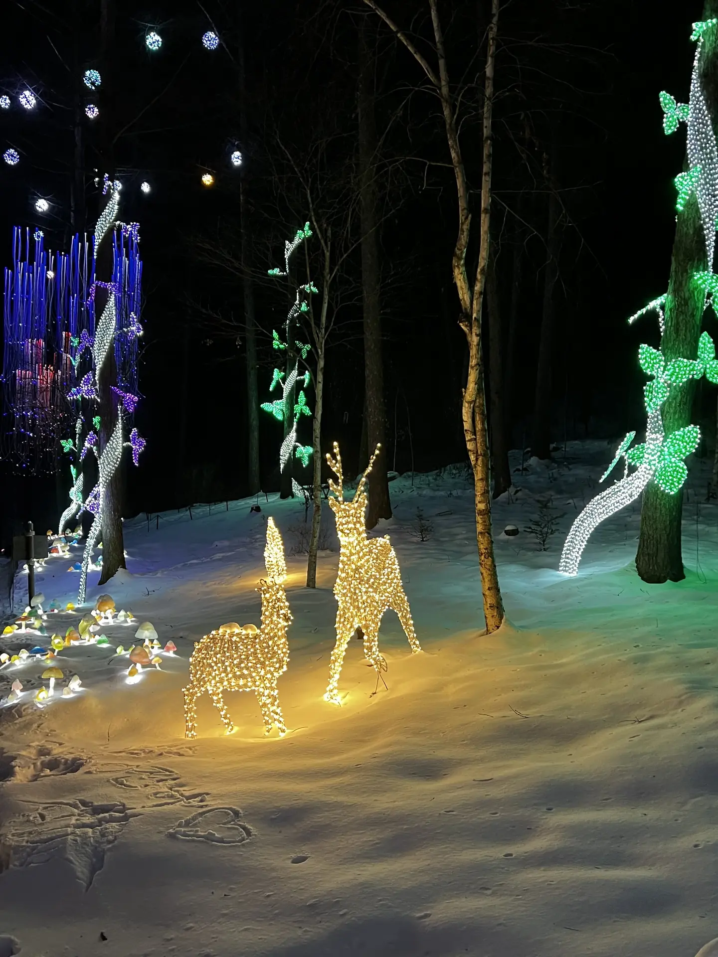 Illuminated deer sculptures among trees at the Garden of Morning Calm
