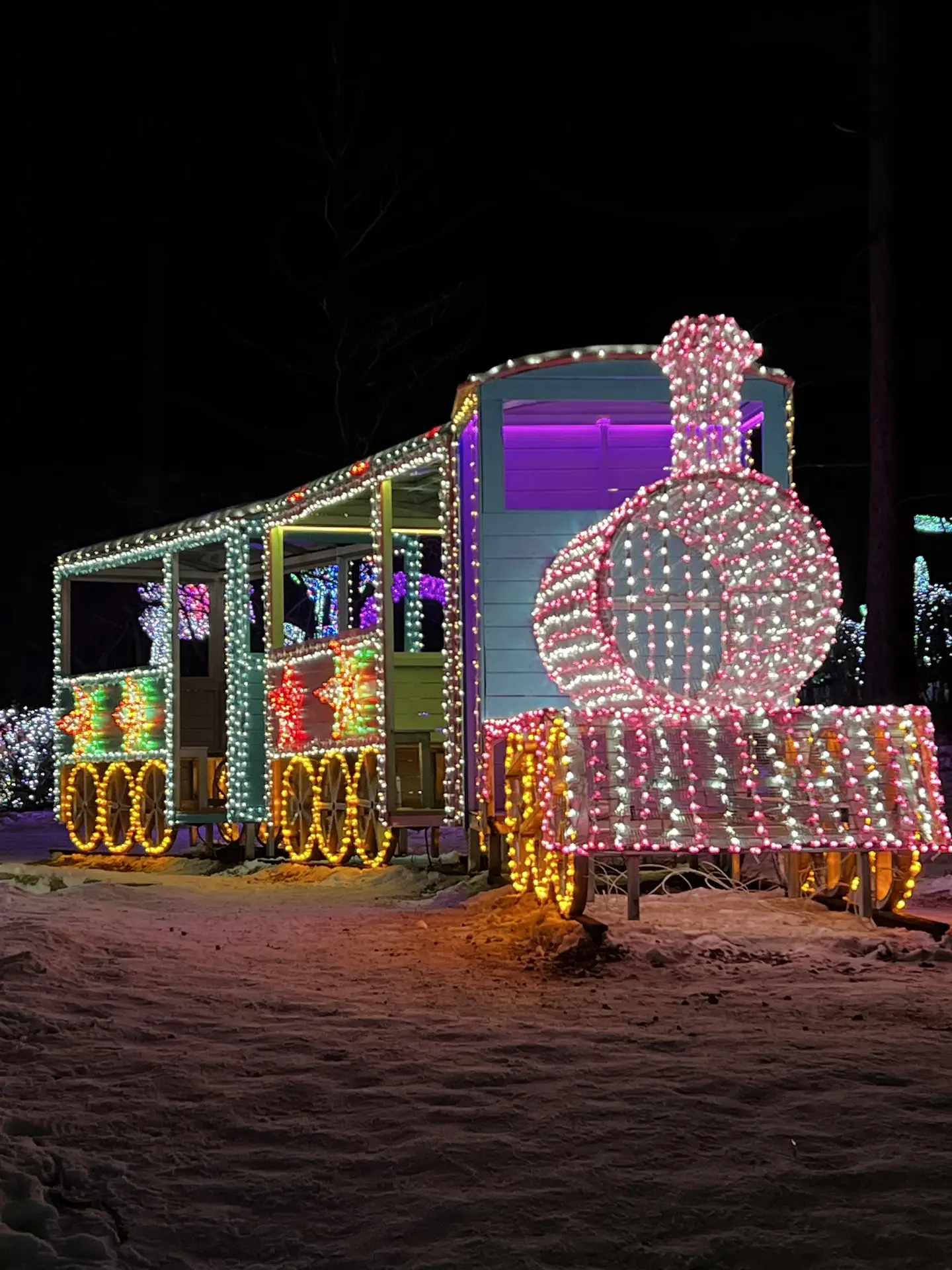 An illuminated train sculpture among light displays, Garden of Morning Calm