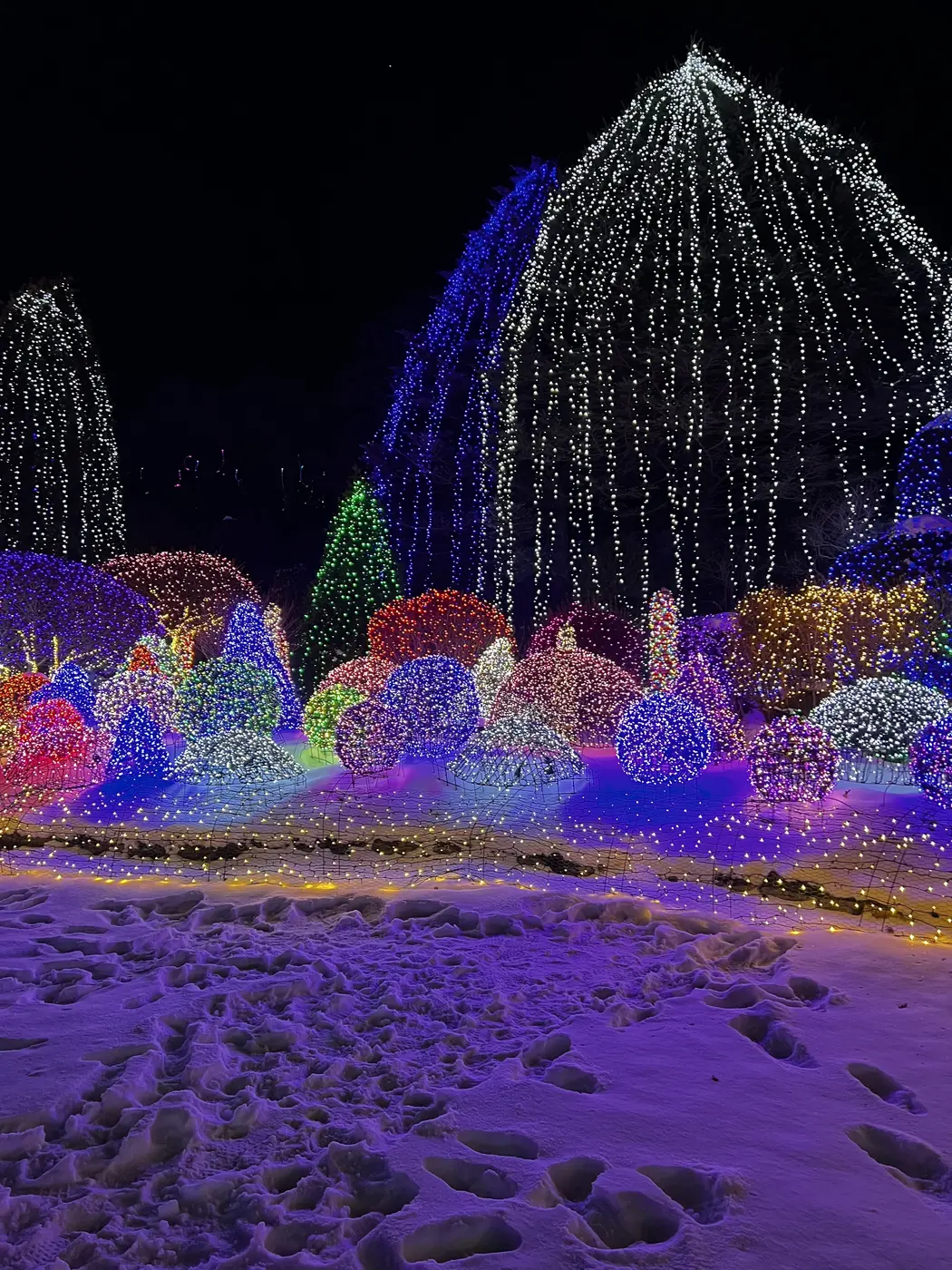 Cascading willow-like strands of light over snow, Garden of Morning Calm