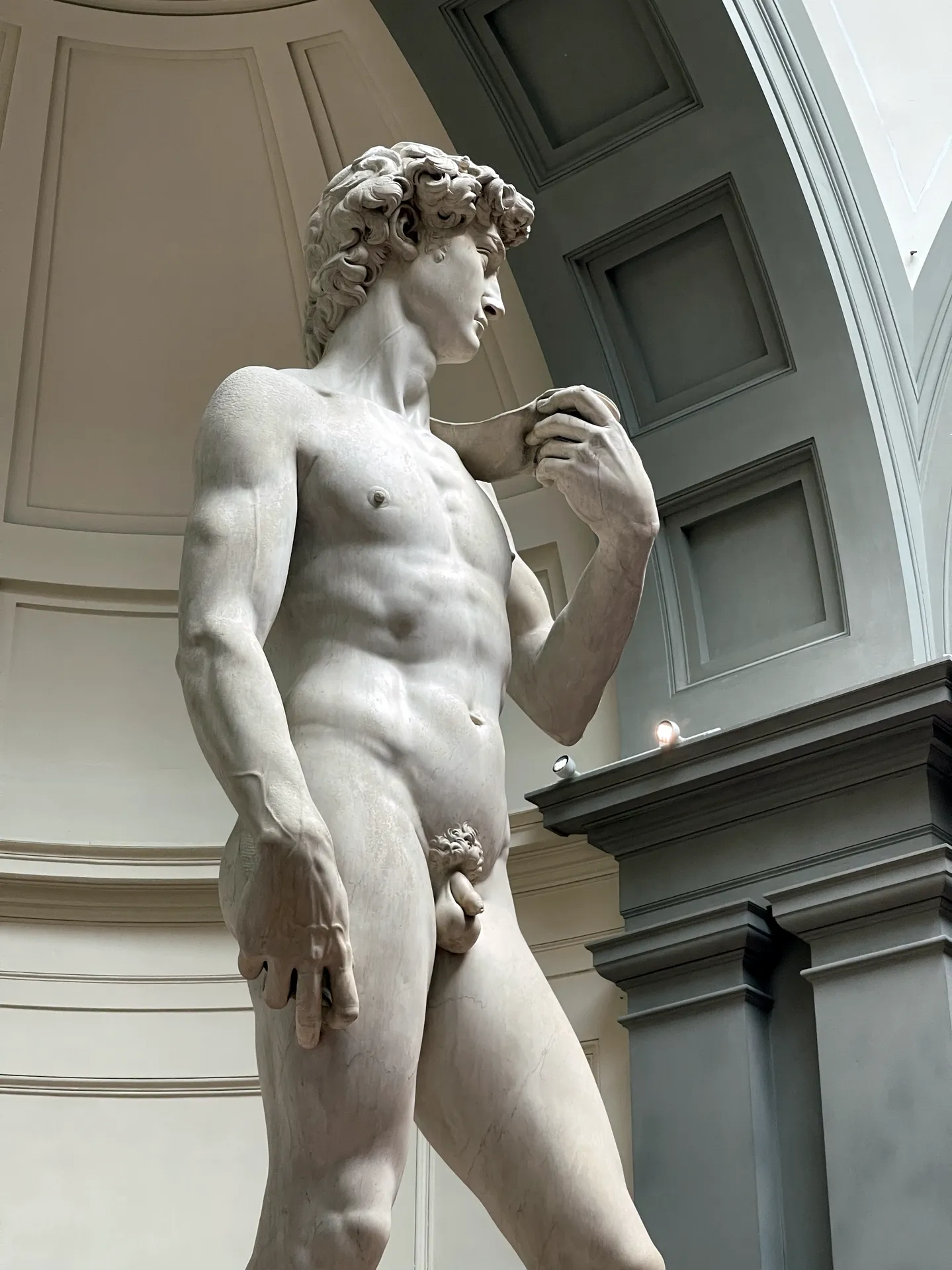 Head, neck, and hand