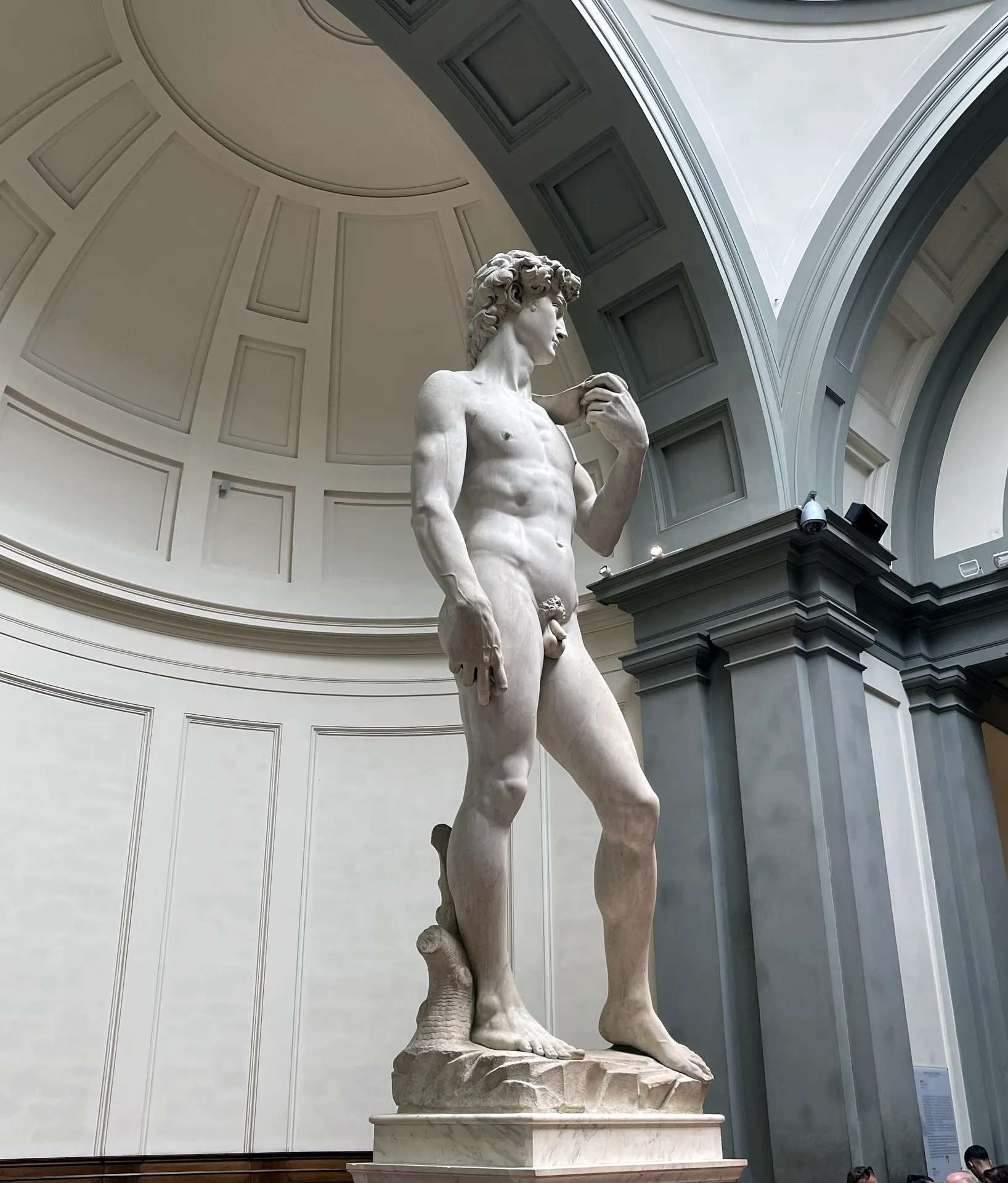 Profile from the left