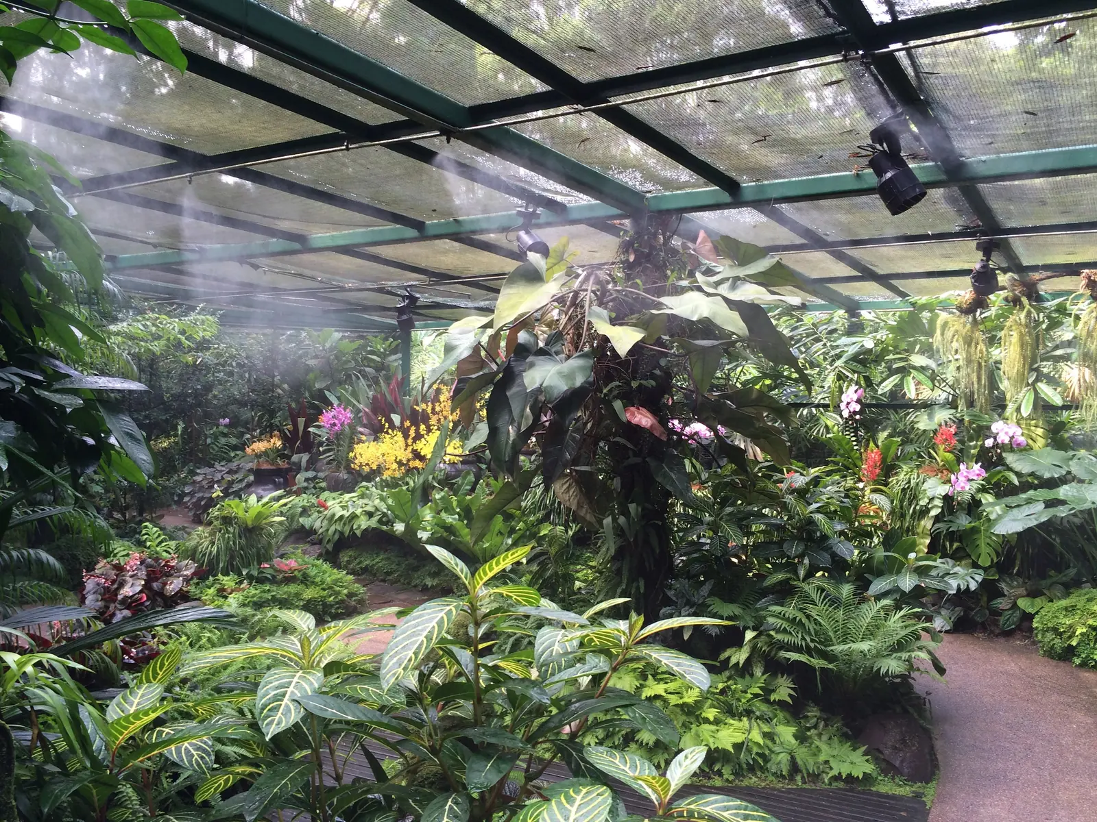 The misted interior of the Cool House glasshouse in the National Orchid Garden