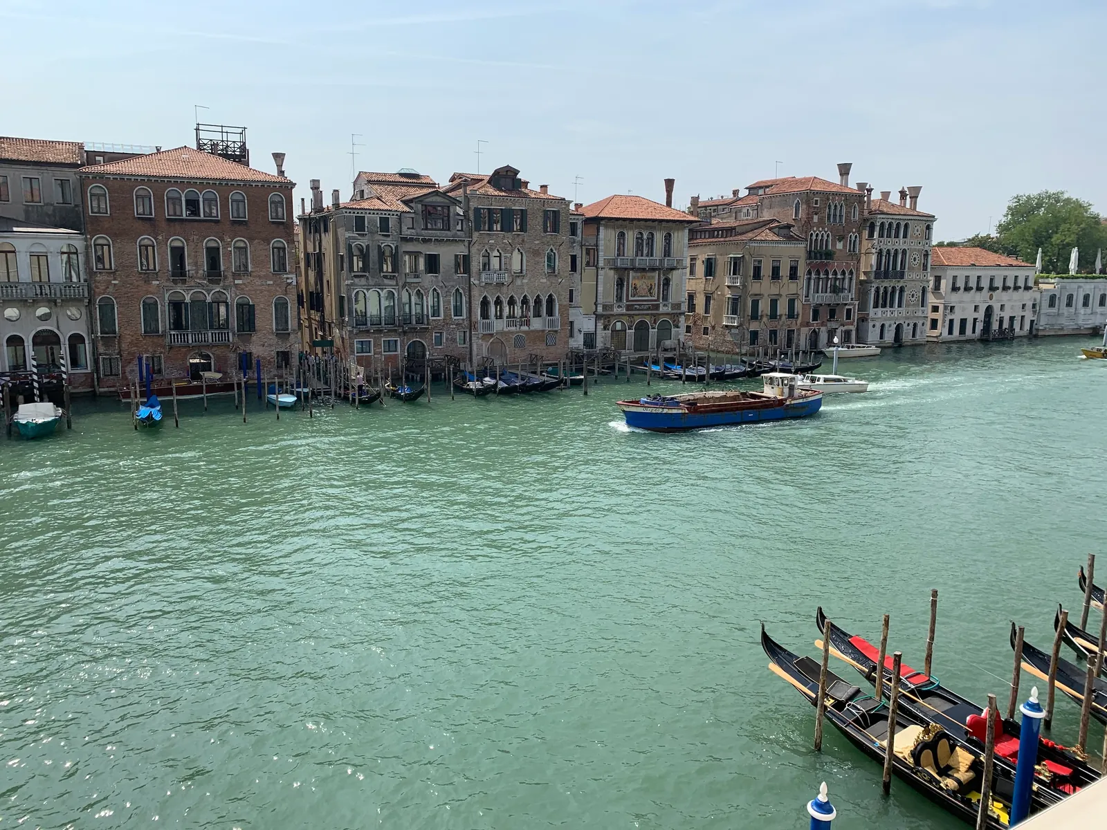 Gondolas on the Grand Canal with Santa Maria della Salute beyond