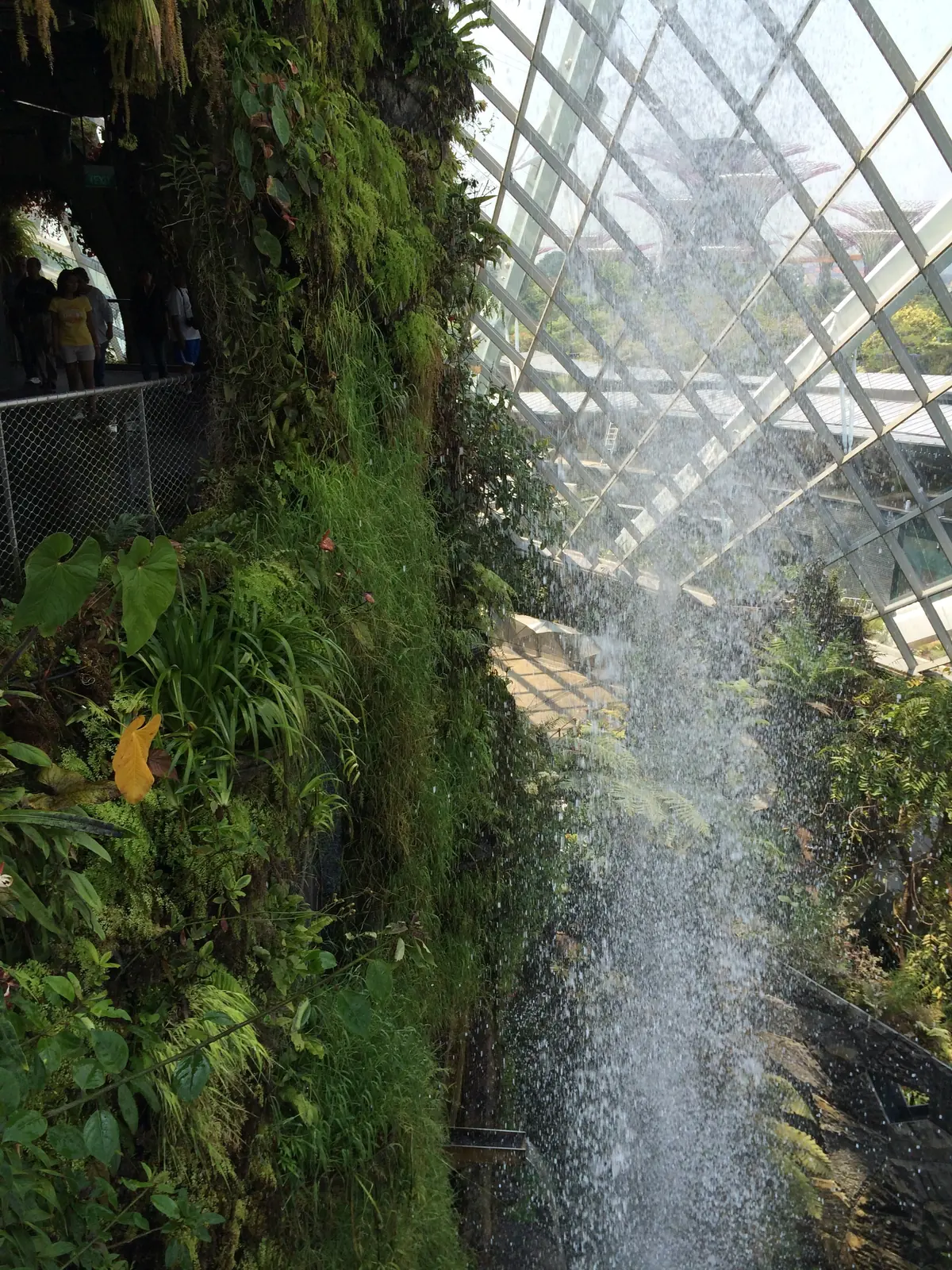 The indoor waterfall pouring down the green mountain in the Cloud Forest at Gardens by the Bay
