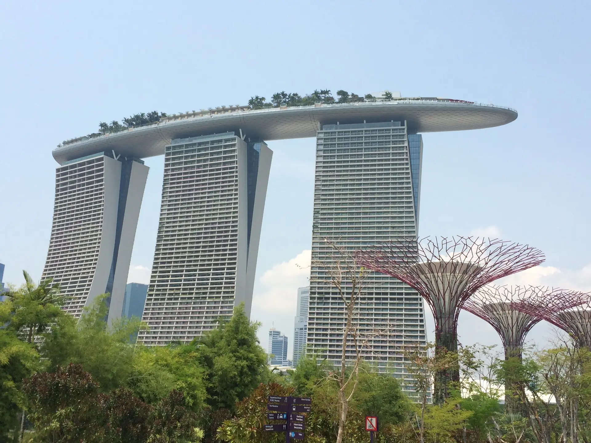 Marina Bay Sands rising behind the Supertree Grove on a clear day