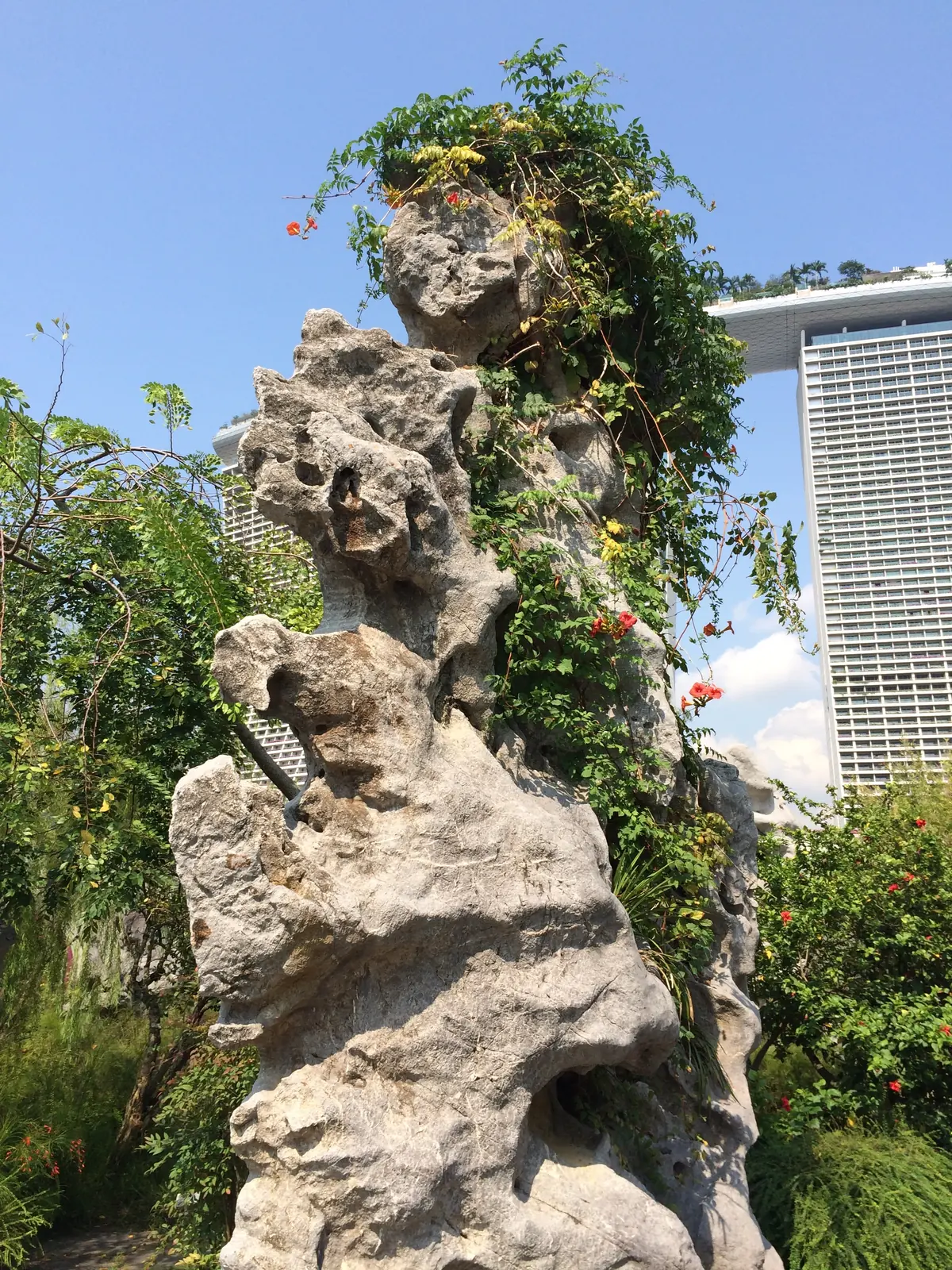 A Chinese scholar's rock in a garden with Marina Bay Sands rising behind