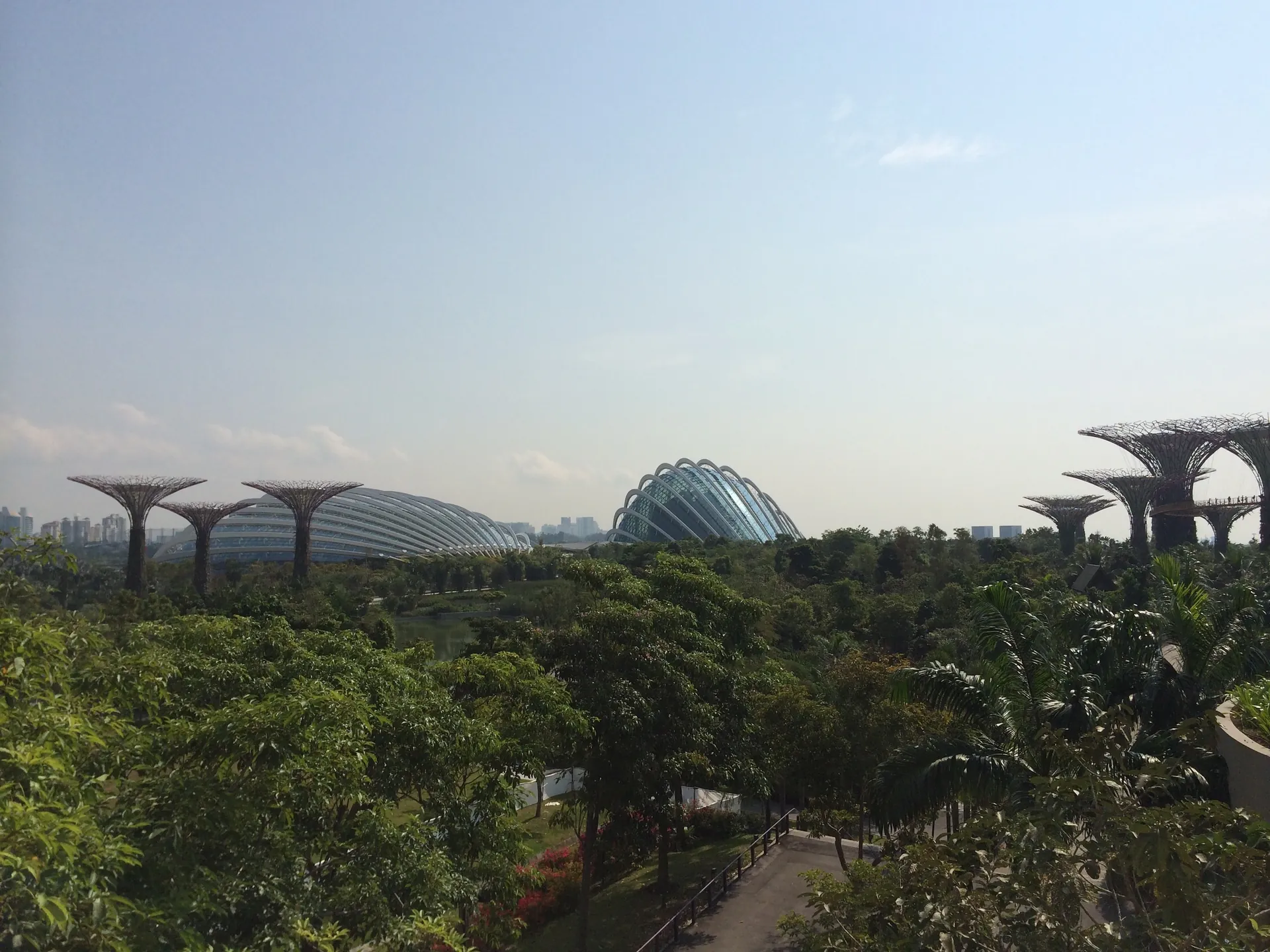 The Supertree Grove and the two conservatory domes of Gardens by the Bay seen across the Marina reservoir