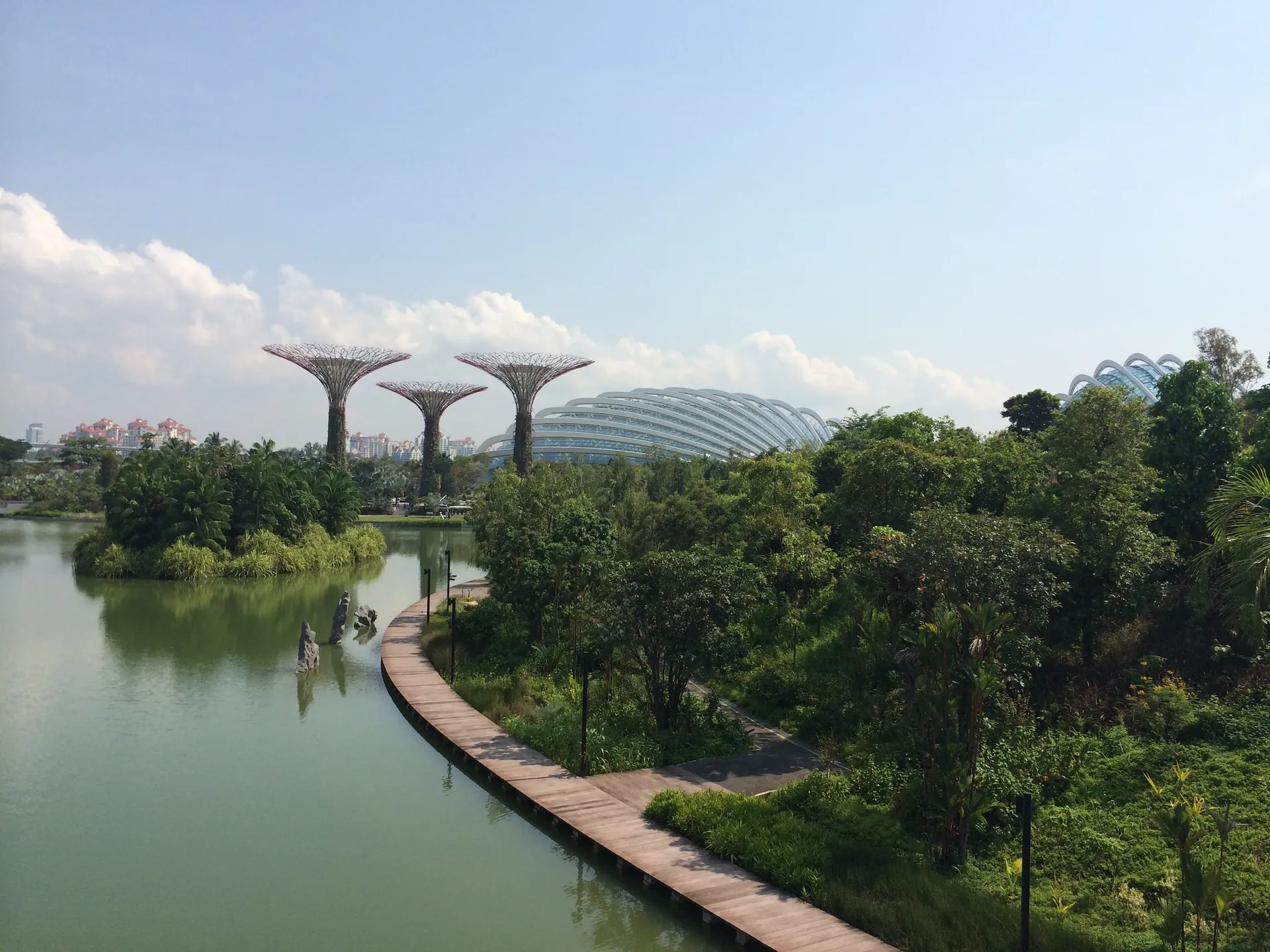 Boardwalks curving over the reservoir toward the Supertrees at Gardens by the Bay