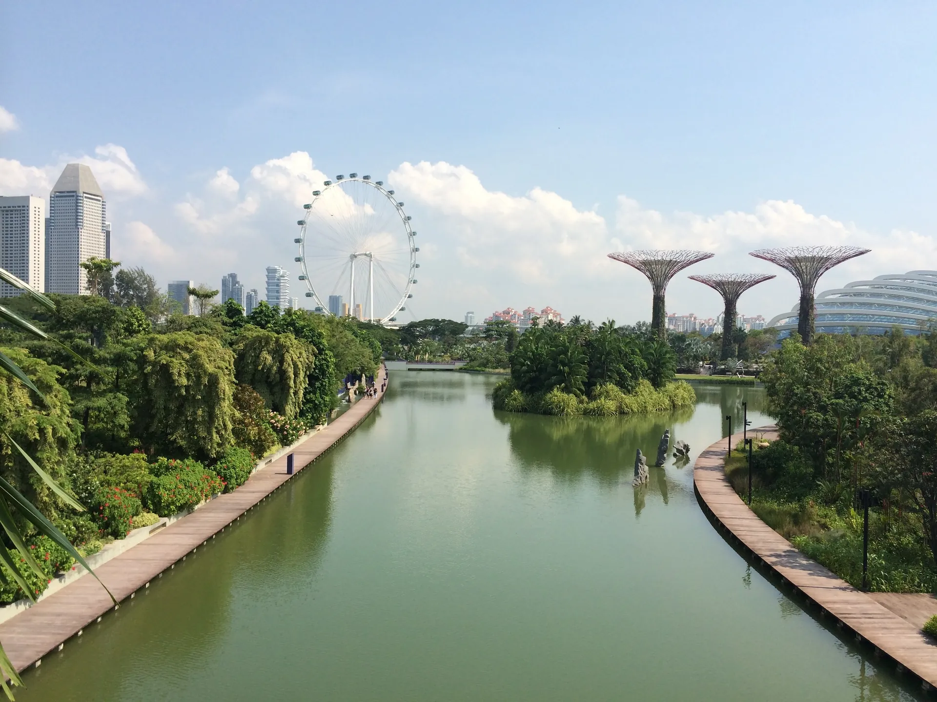 Supertrees framing the Singapore Flyer and the downtown skyline across the reservoir