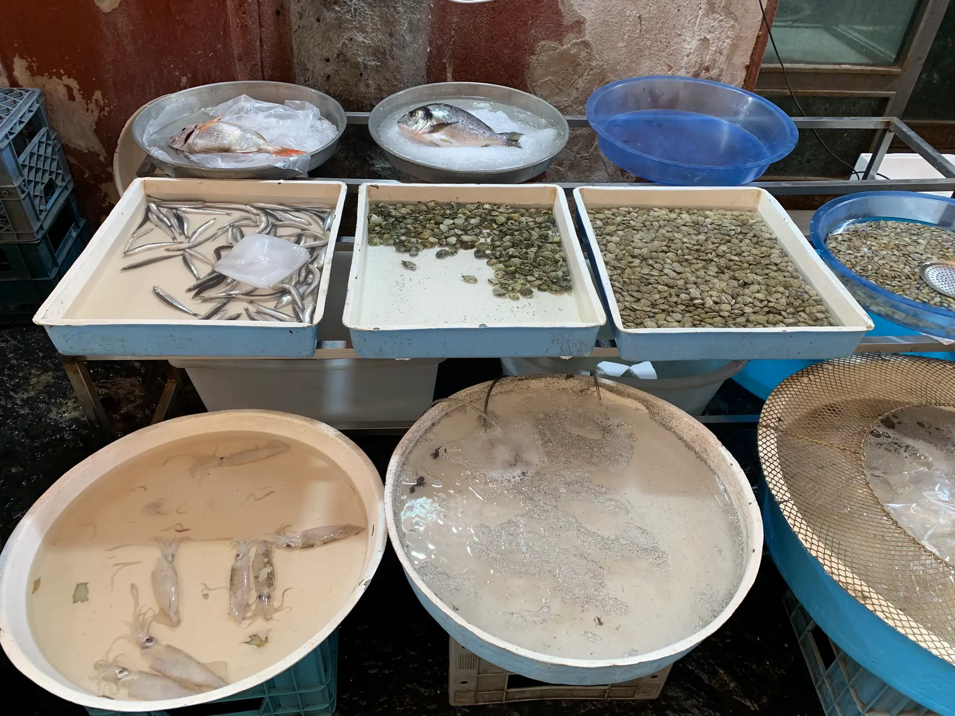 Fish and seafood on a market stall at the Pignasecca in Naples