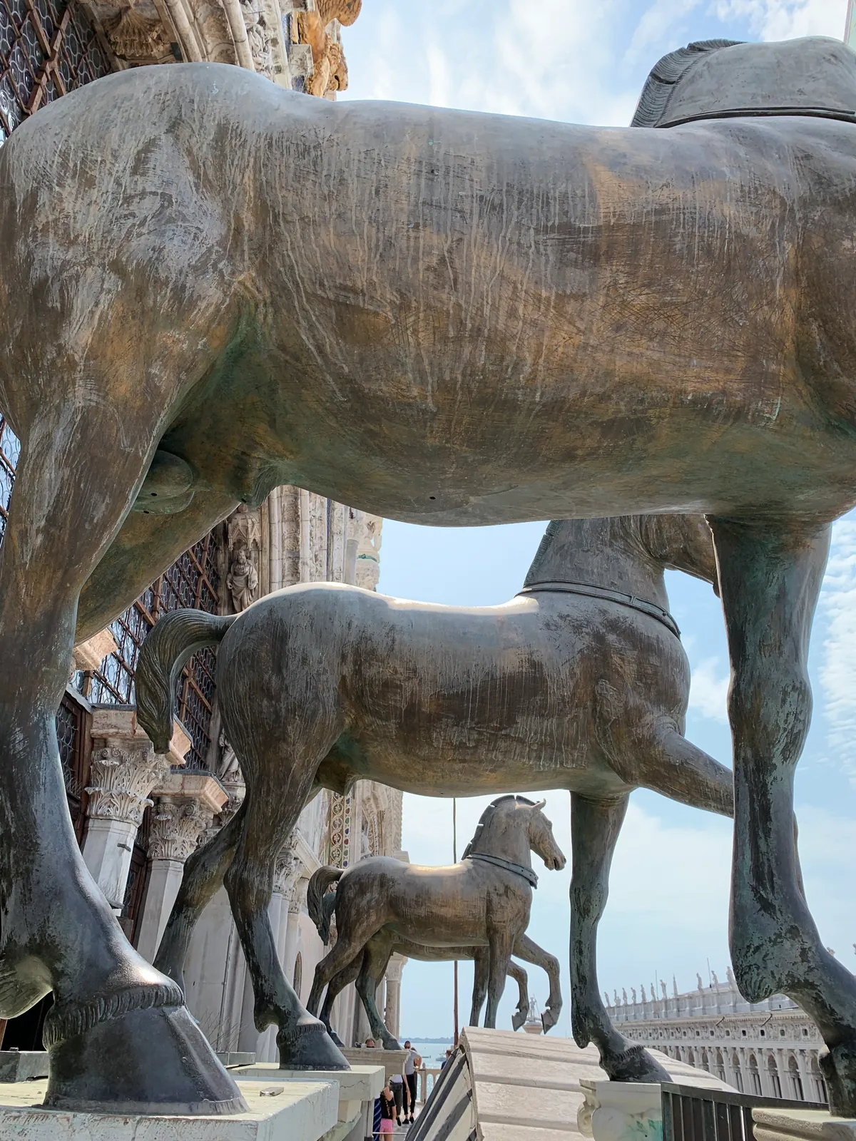 Close view of the gilded bronze horses of St Mark's Basilica