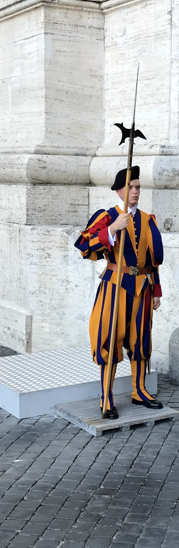 A Pontifical Swiss Guard in striped uniform standing with a halberd