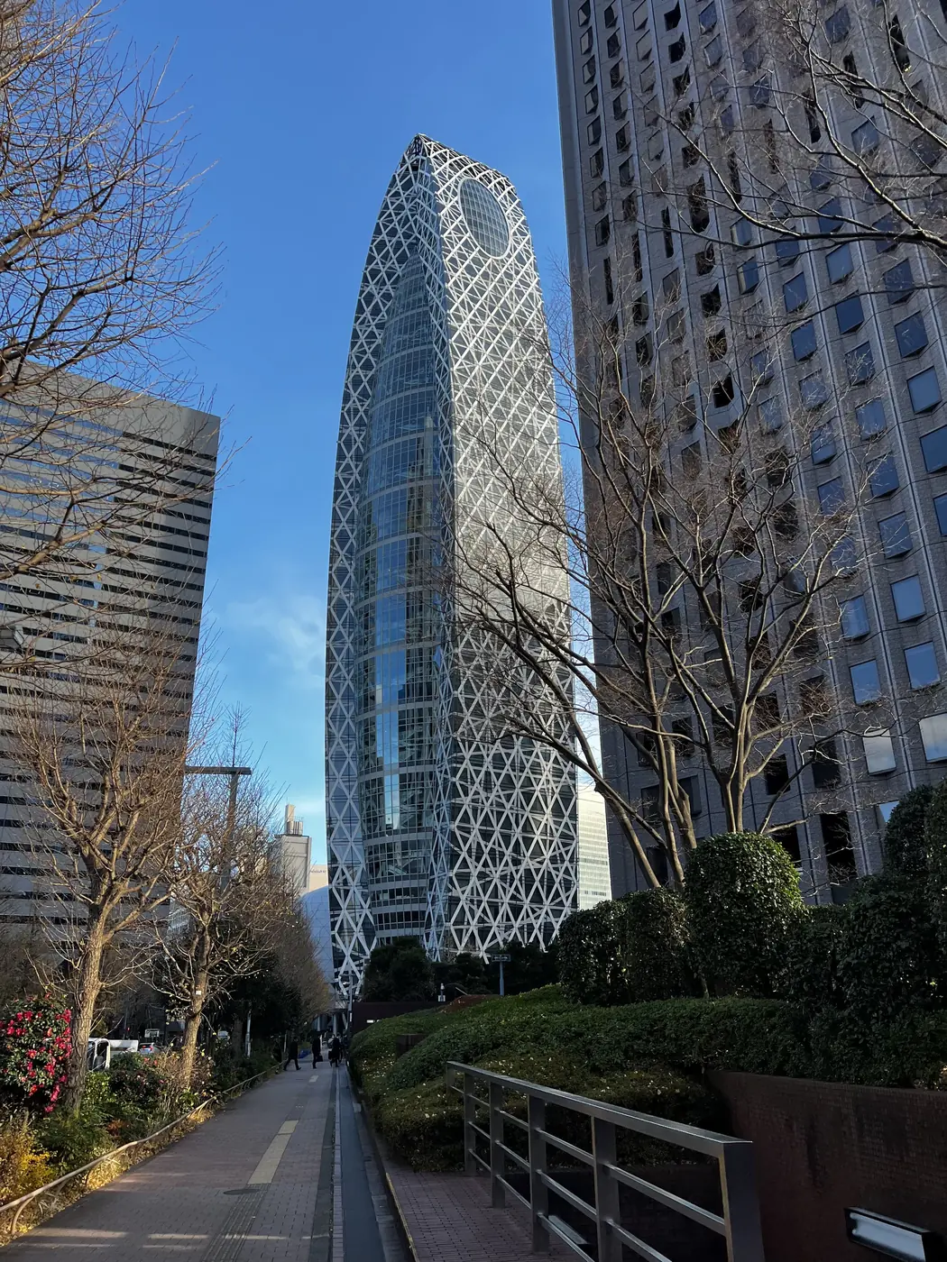 Mode Gakuen Cocoon Tower, a lattice-patterned skyscraper in Shinjuku, Tokyo