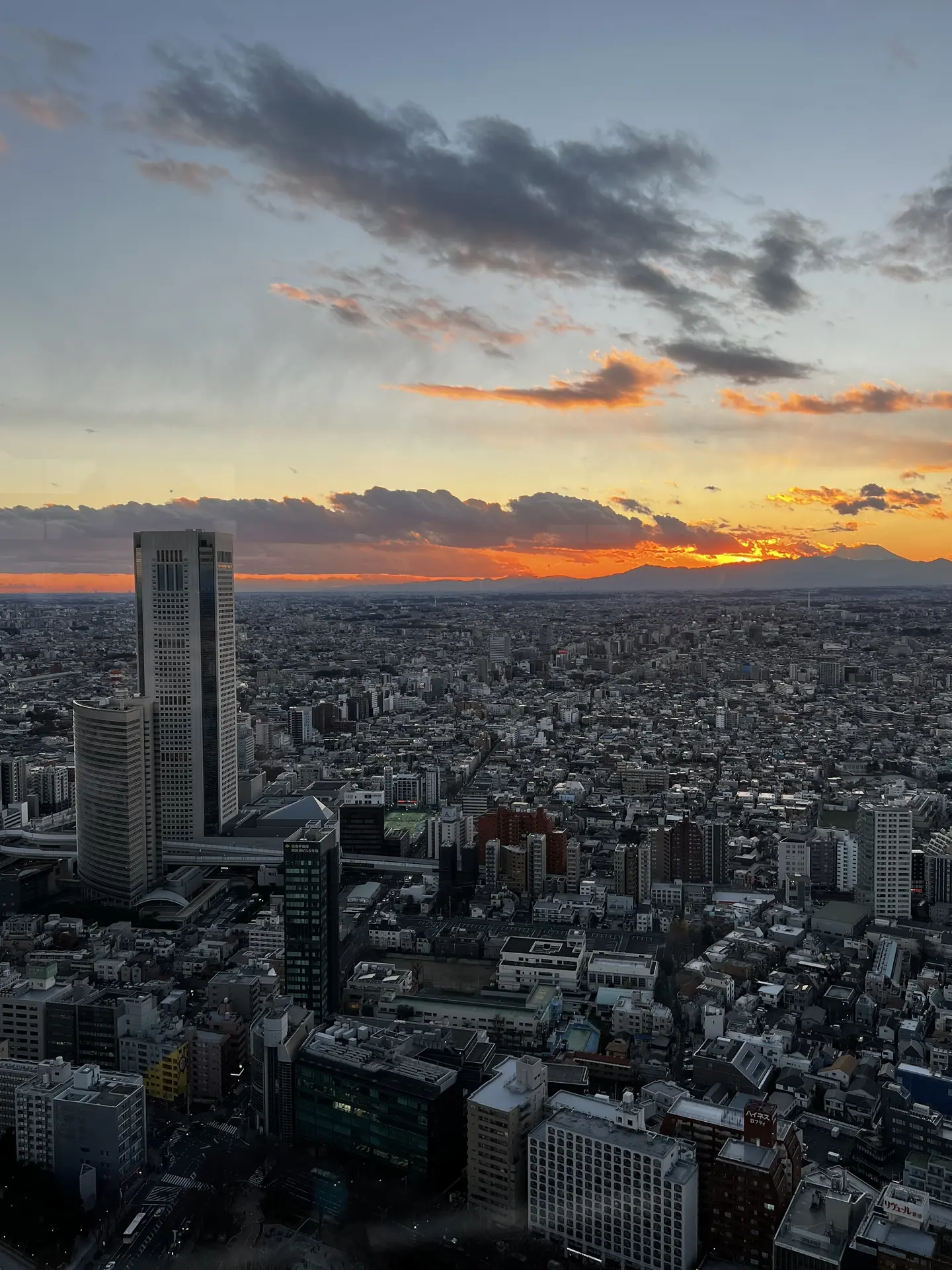 Tokyo skyline at dusk with Mount Fuji silhouetted on the horizon