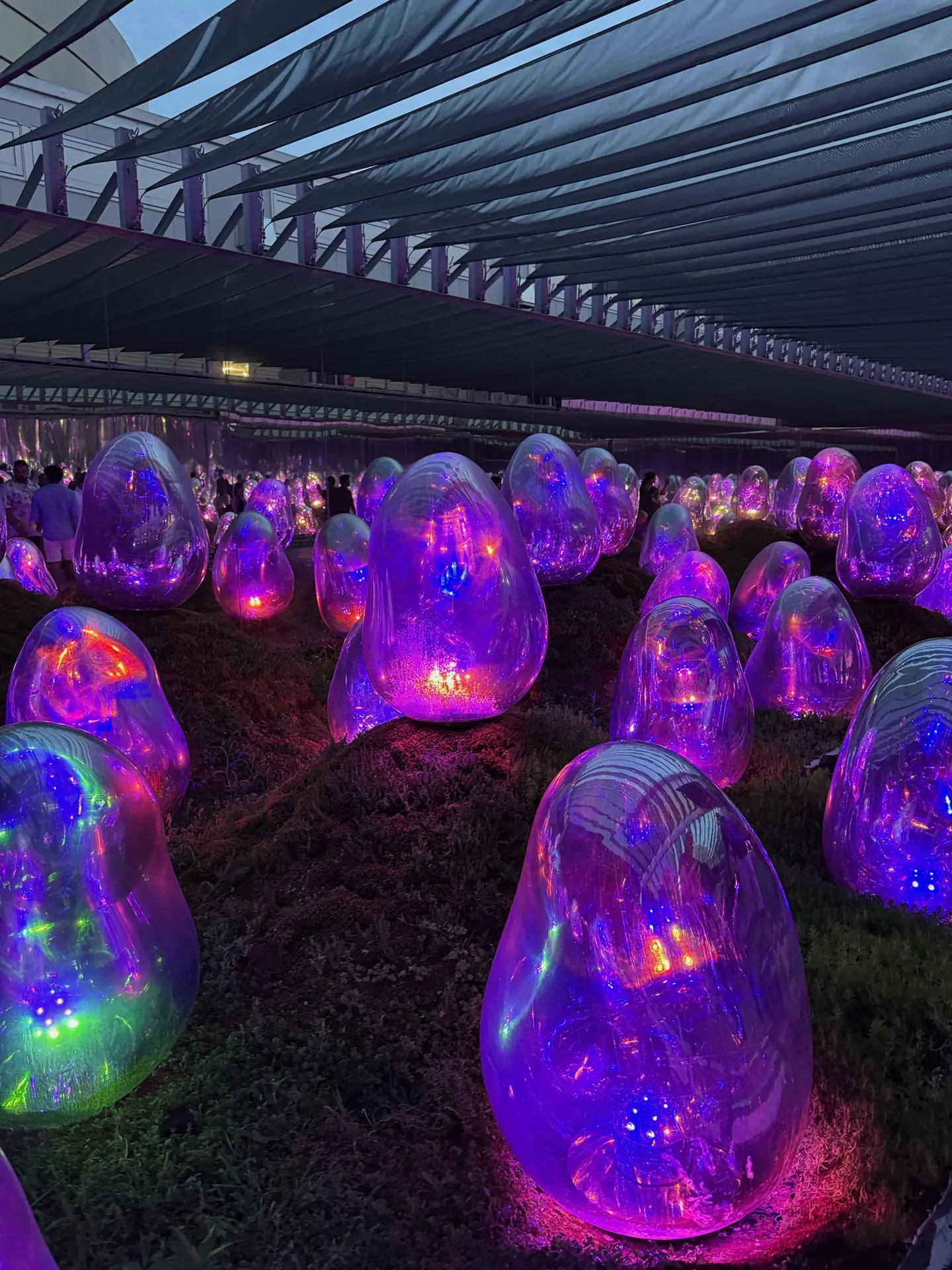 Glowing egg-shaped ovoid sculptures in a teamLab digital art garden, Tokyo