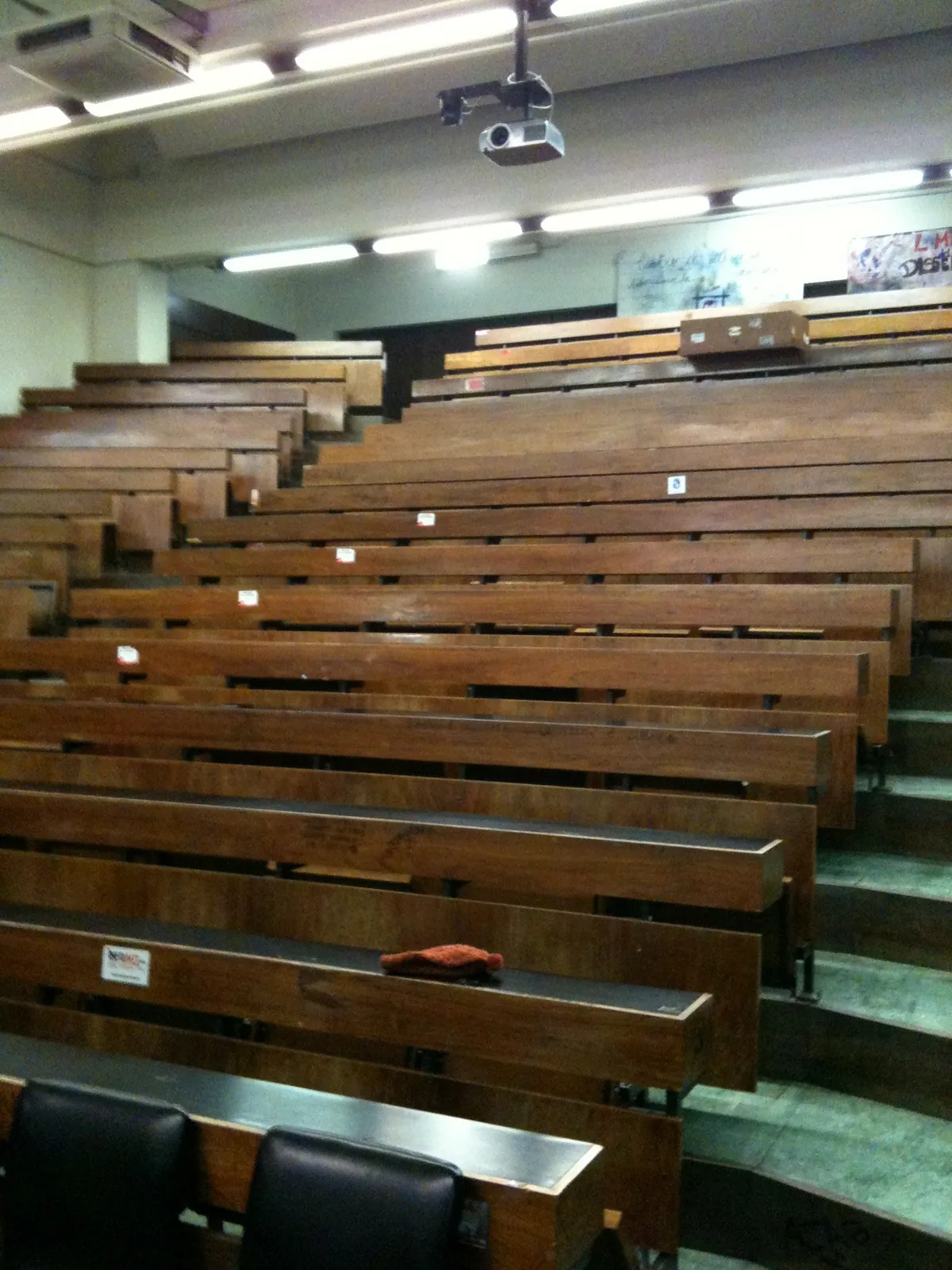 Tiered wooden benches rising in a University of Bologna lecture hall.