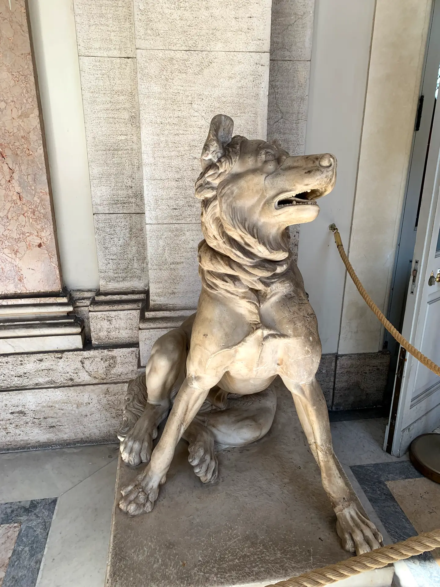 Ancient marble statue of a seated dog in the Vatican Museums' Room of the Animals.
