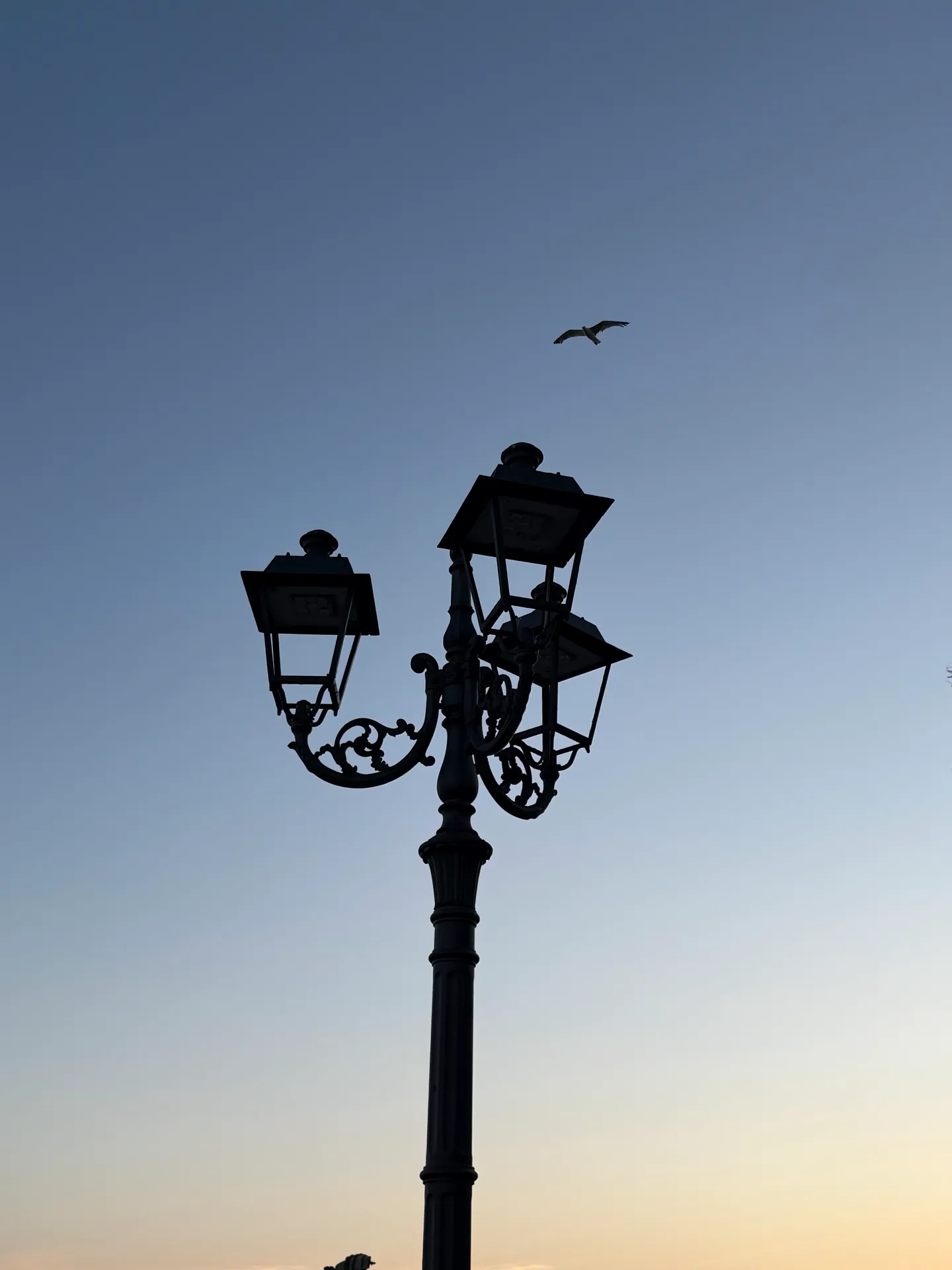 An ornate triple street lamp in silhouette against a dusk sky, a gull flying overhead.