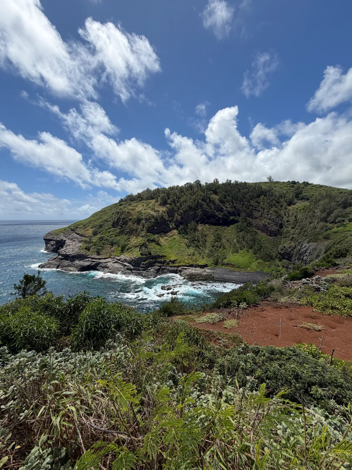 A green coastal headland at Kilauea Point under a cloudy sky with surf at its base