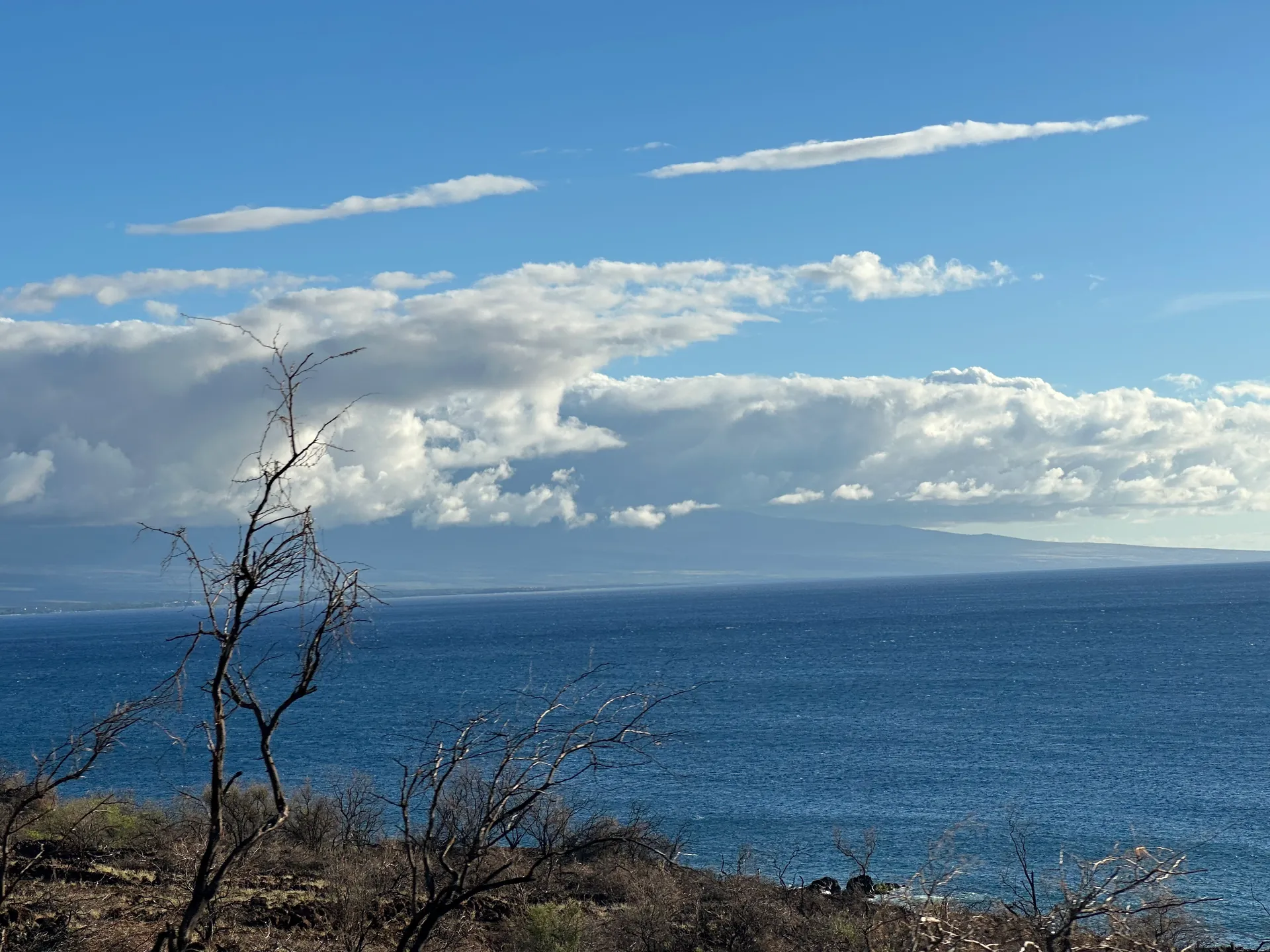 The dry Kohala coast seen from the highway in late afternoon