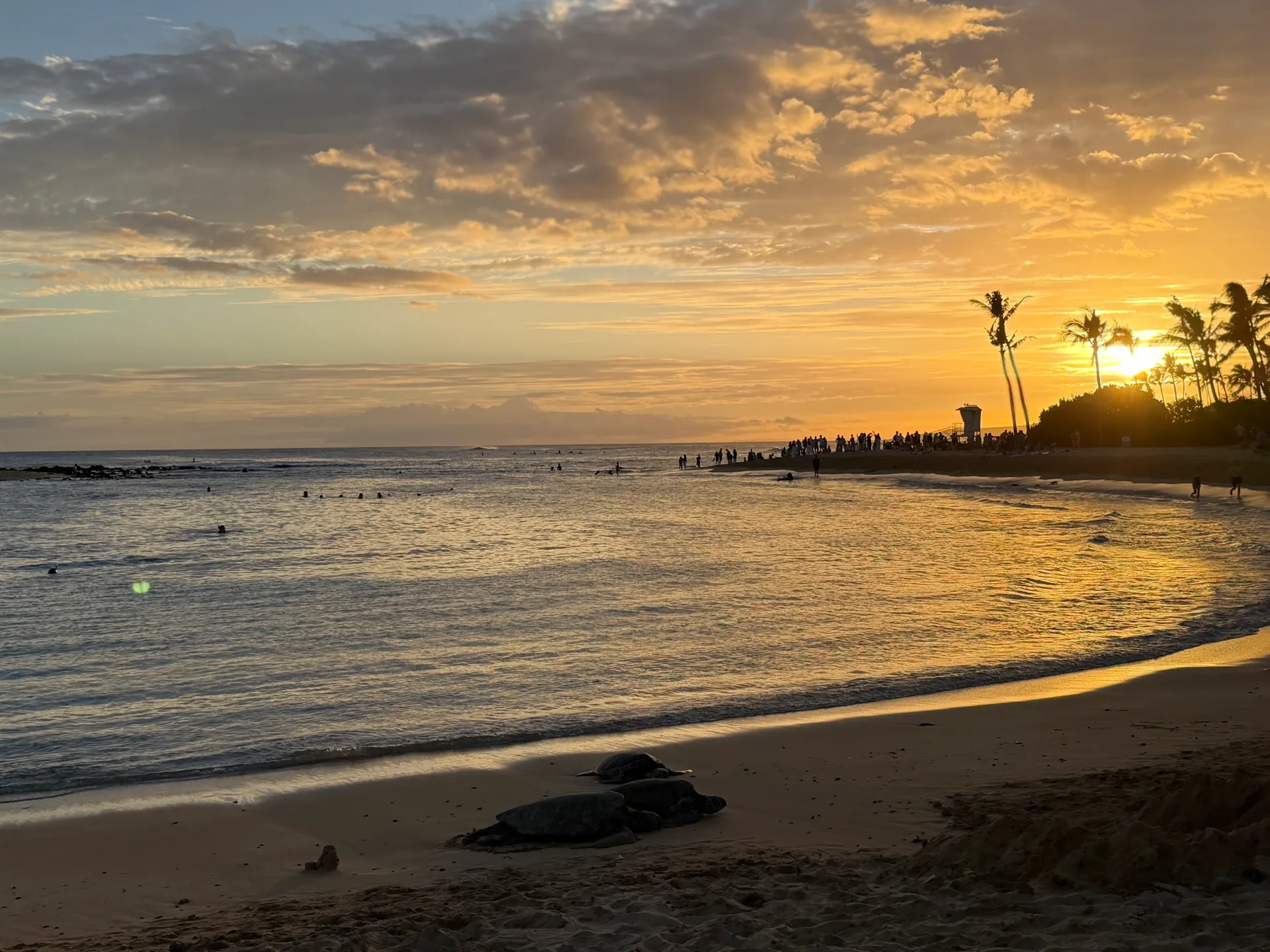 Sunset behind palms at Poipu Beach casting gold light across the cove