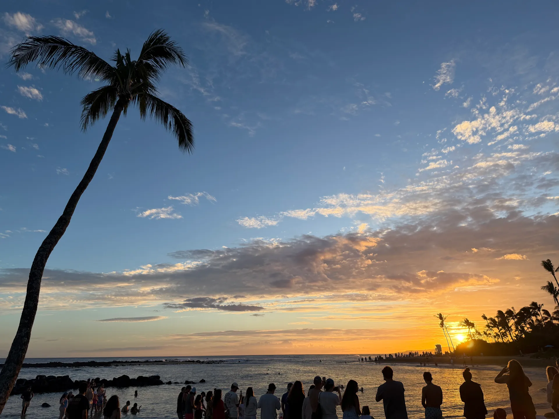 A lone coconut palm silhouetted against a sunset sky at Poipu Beach with people watching from the sand