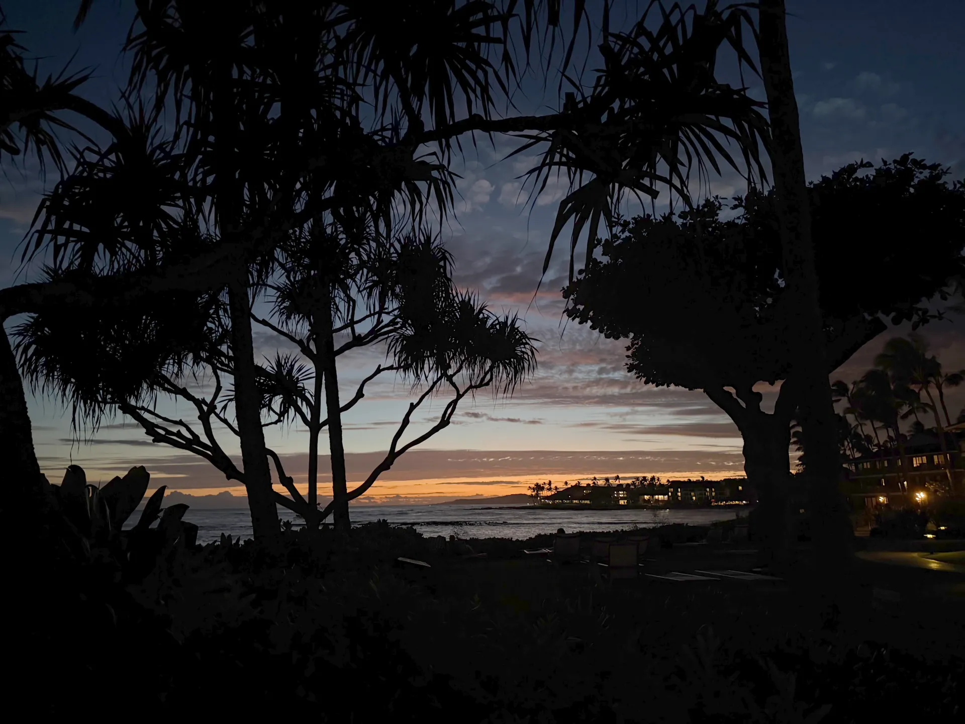 A hala tree silhouetted against an orange afterglow over the water at Poipu at dusk