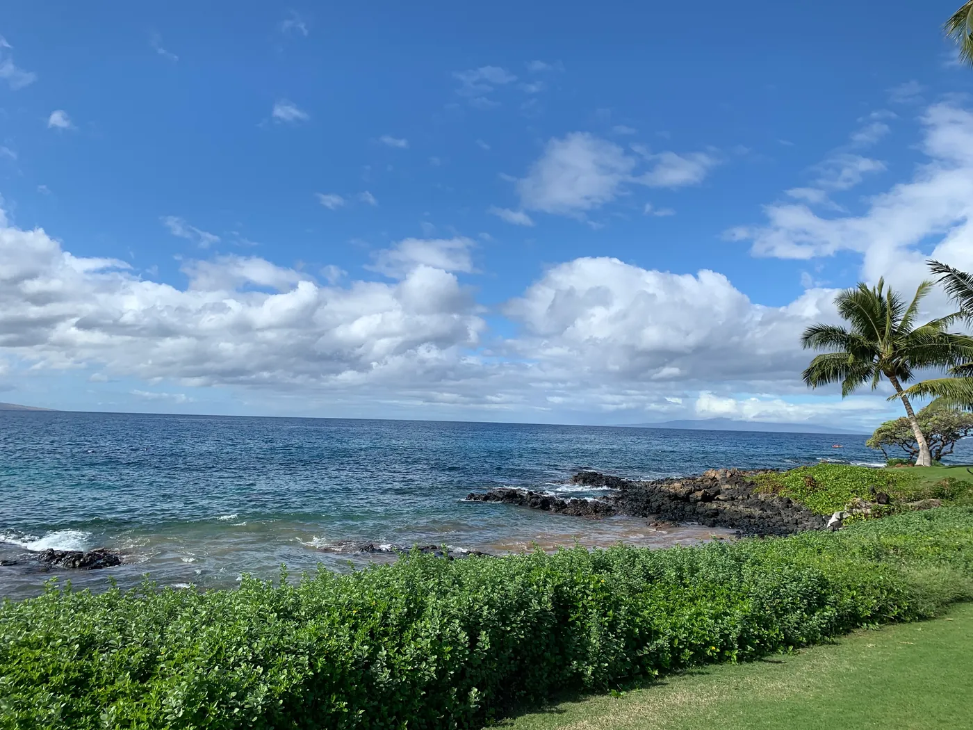 Resort lawn meeting a lava rock shoreline with the ocean beyond