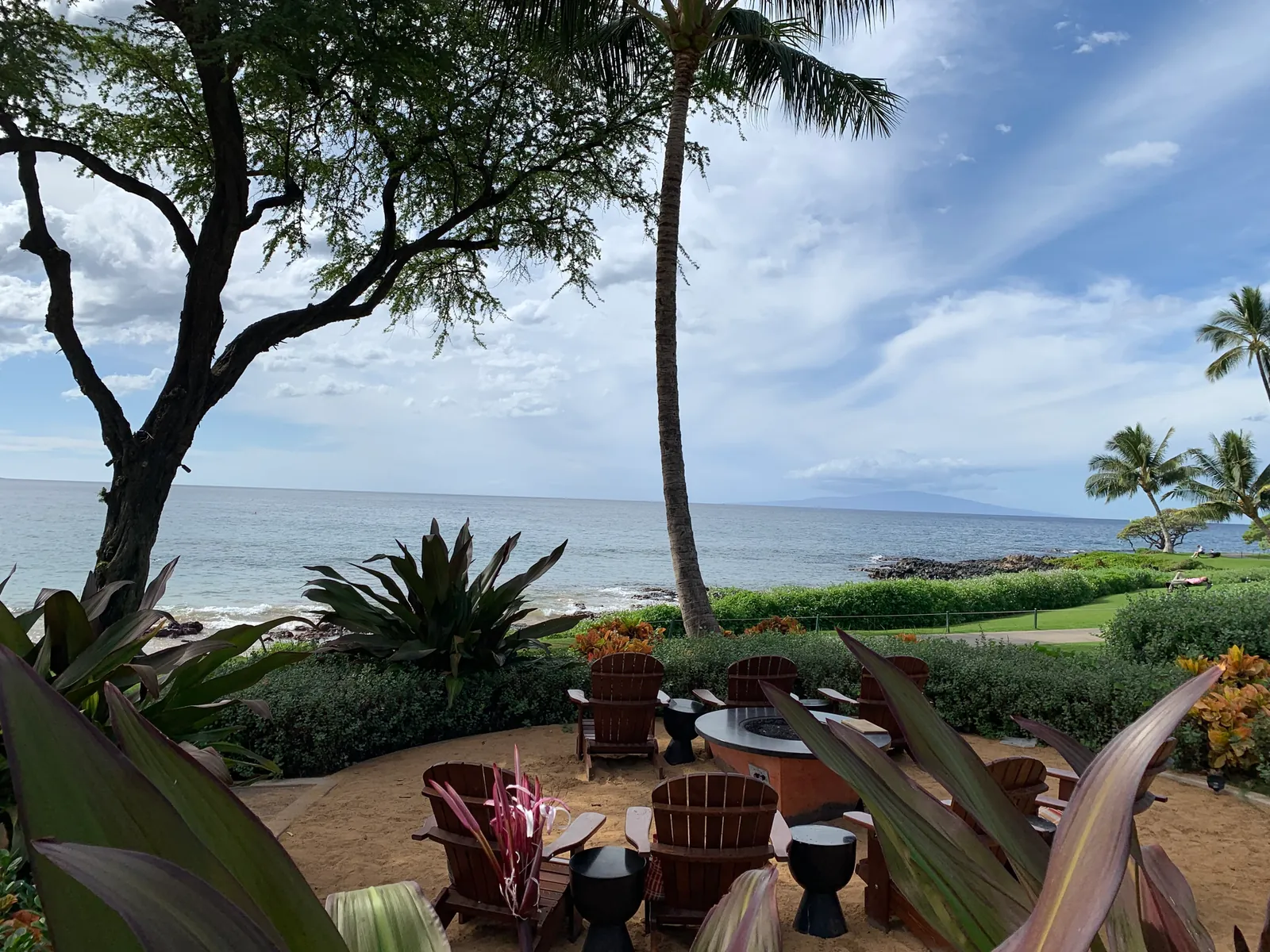 Terrace chairs and low tables under trees facing the ocean