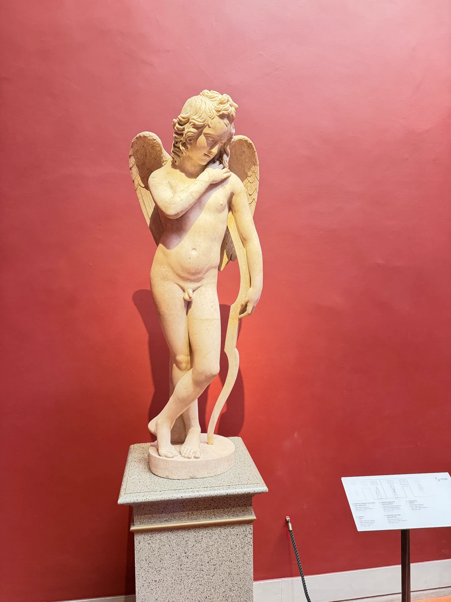 A winged marble Eros standing on a tall pale pedestal against the red wall of the Cabinet of Ancient Marbles.