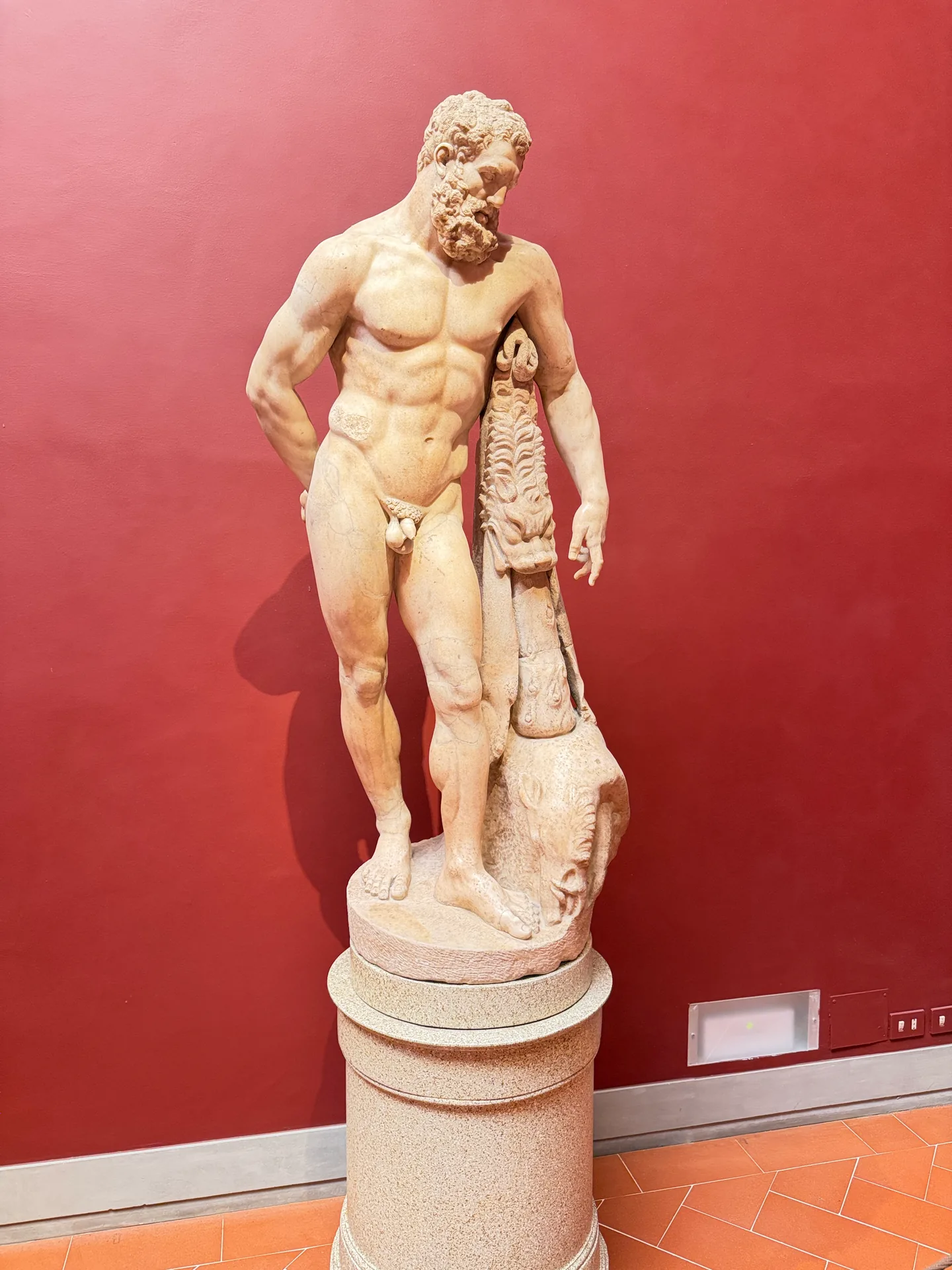 A Roman marble Hercules, the lion skin draped over his club, against the red wall.