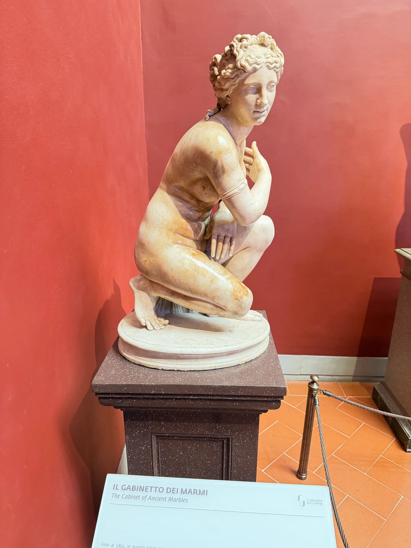 A Roman marble of a crouching Venus, head turned over the shoulder, on her pedestal in the Cabinet of Ancient Marbles.