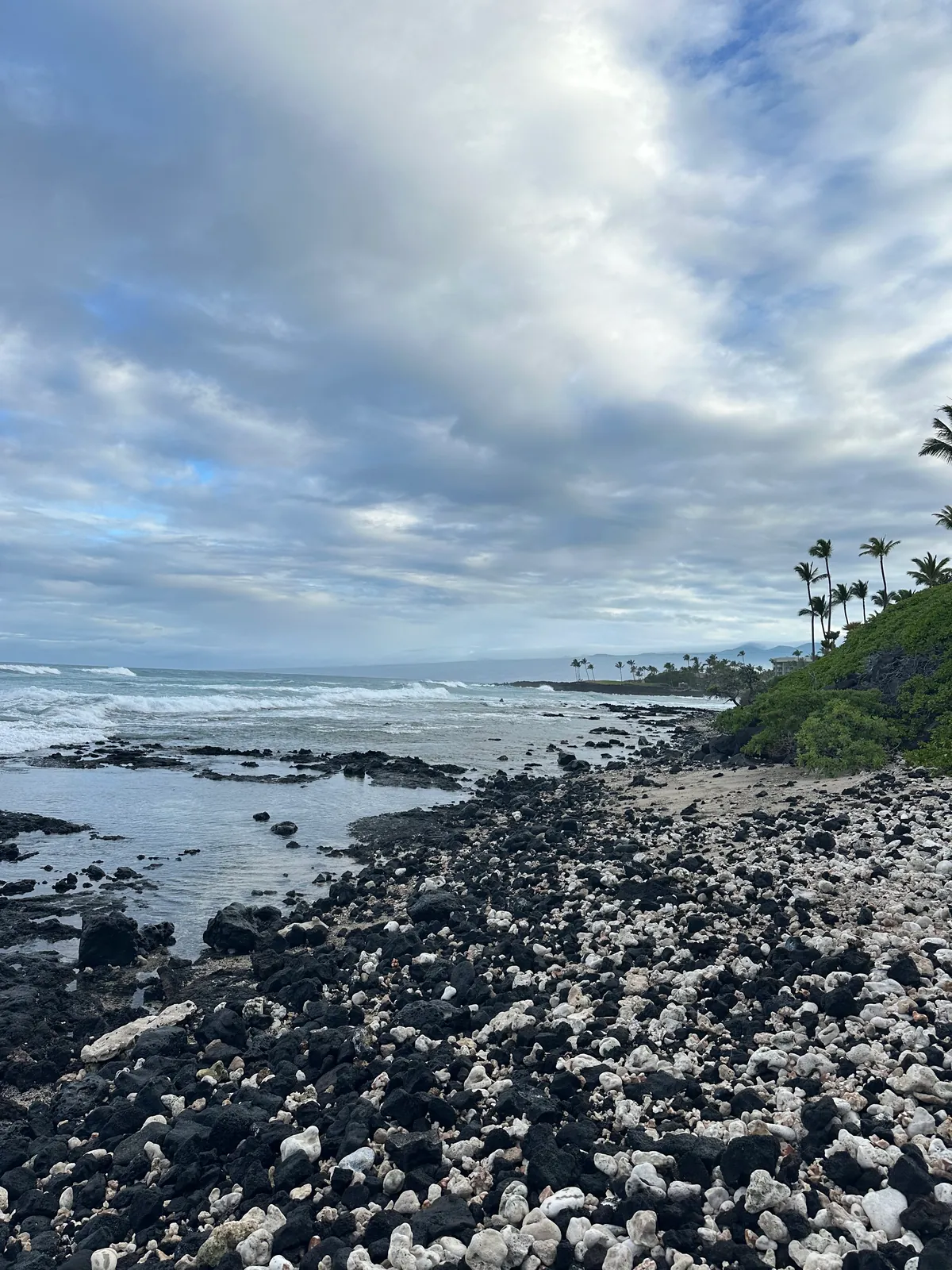 A beach of black lava stones mixed with white coral rubble below palms