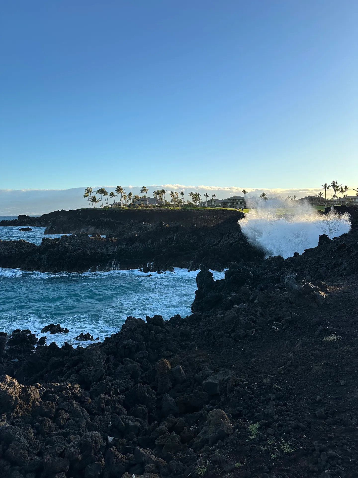 Spray rising from a gap in a black lava shelf at dawn