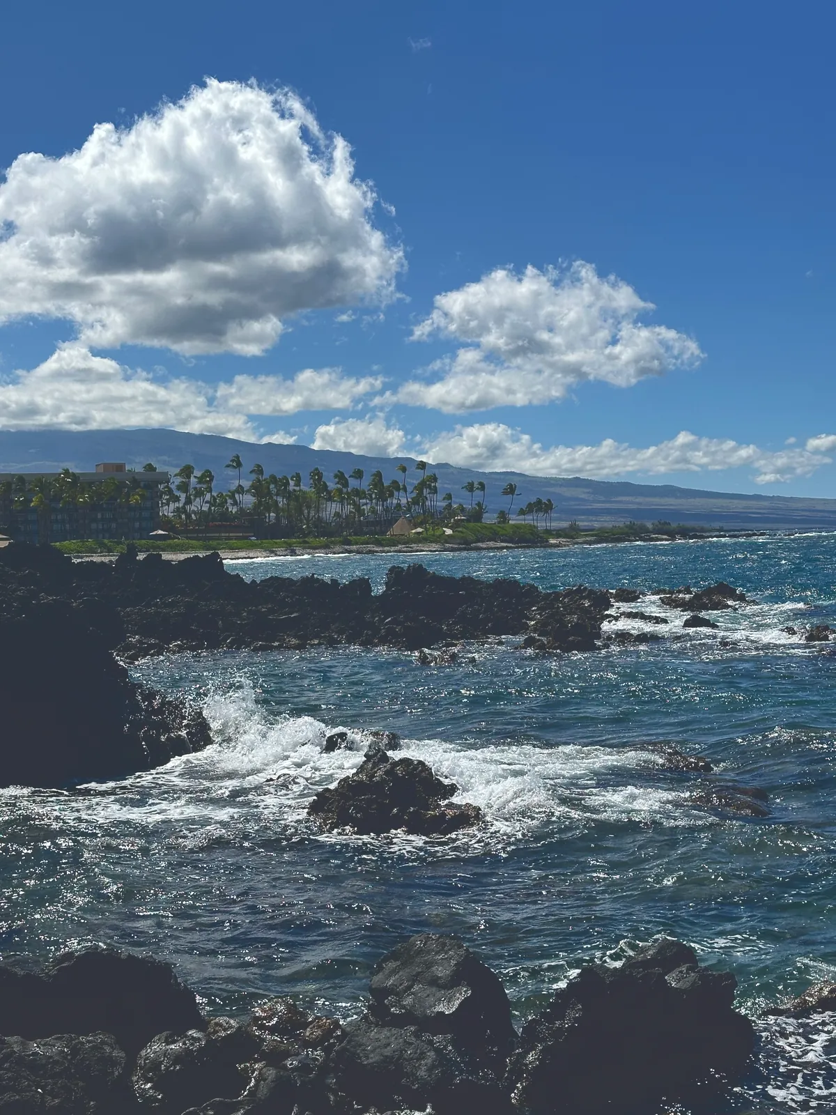 Black lava coast with turquoise water and the Kohala mountain behind