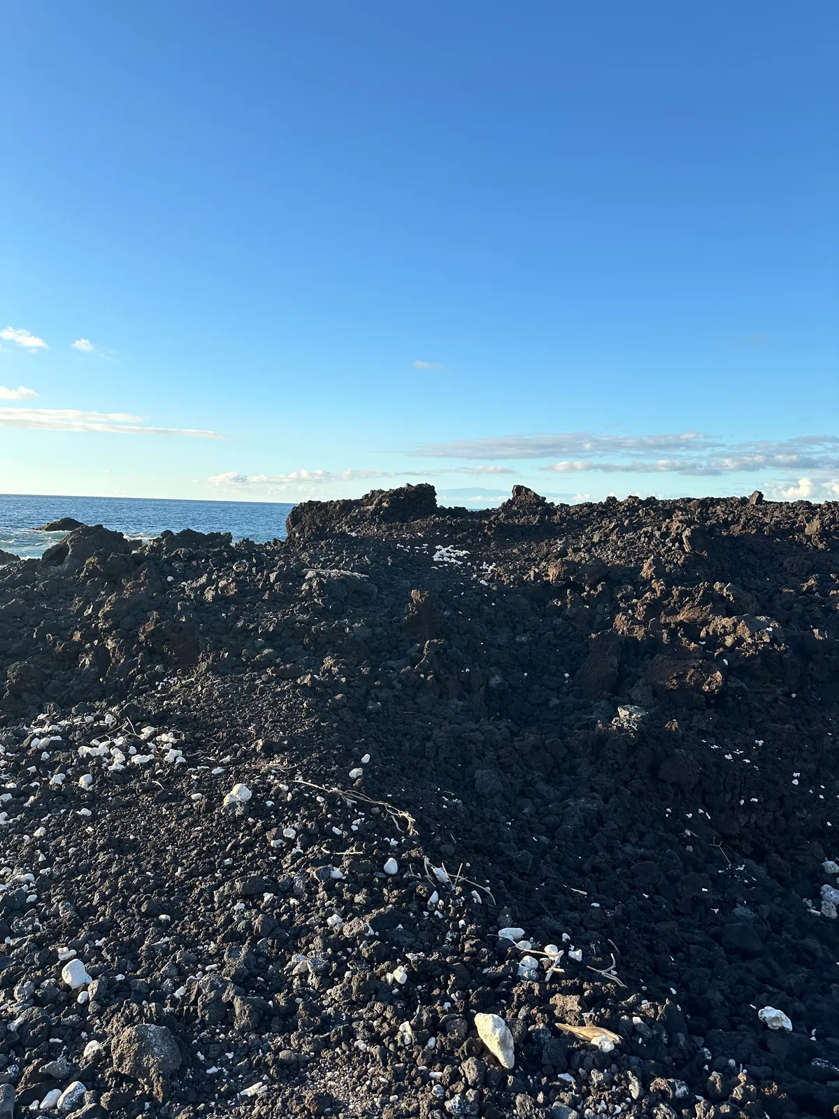 Black lava rock scattered with white coral fragments and shells