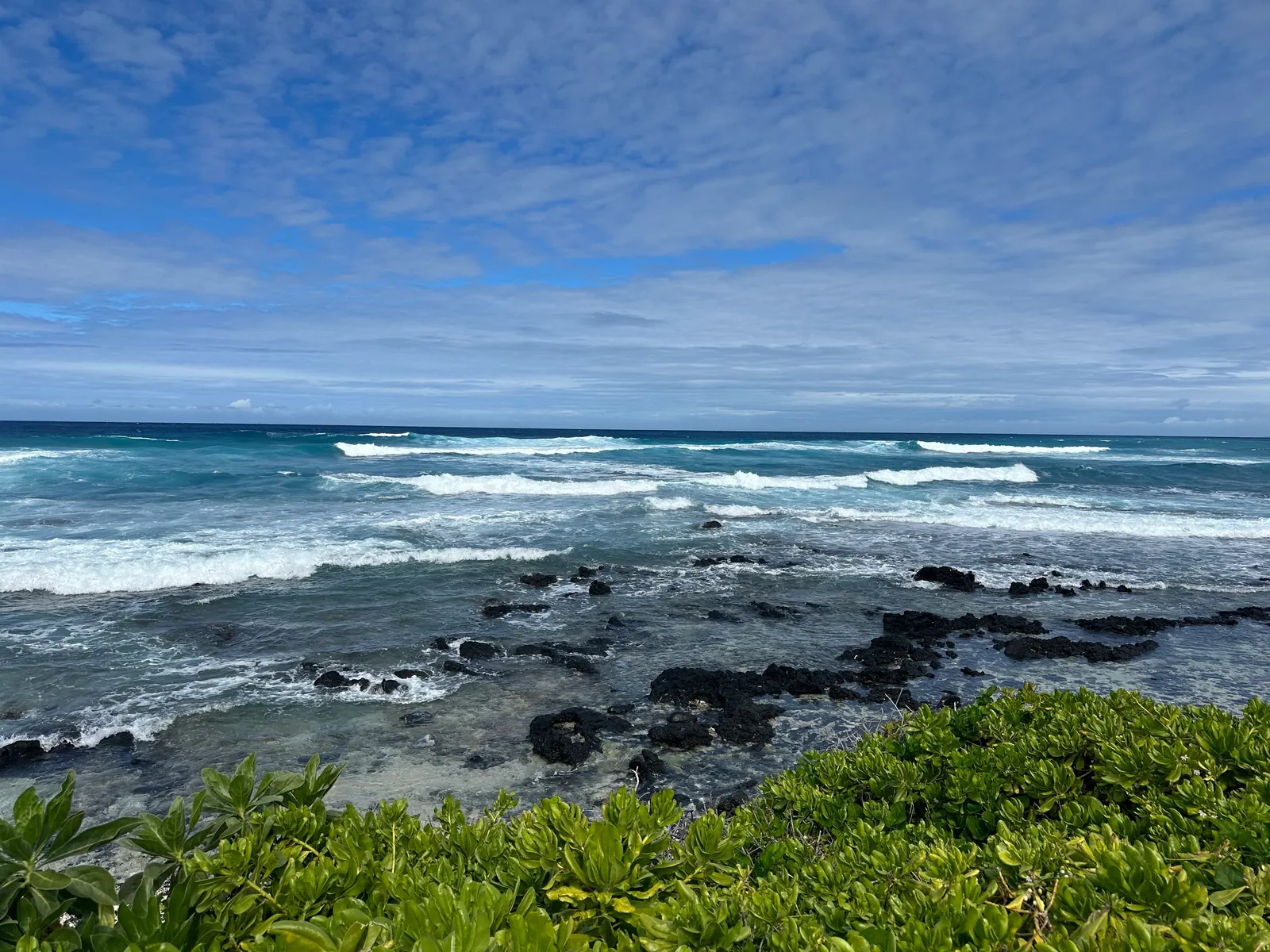 Green naupaka shrubs along a black lava shore with surf breaking beyond