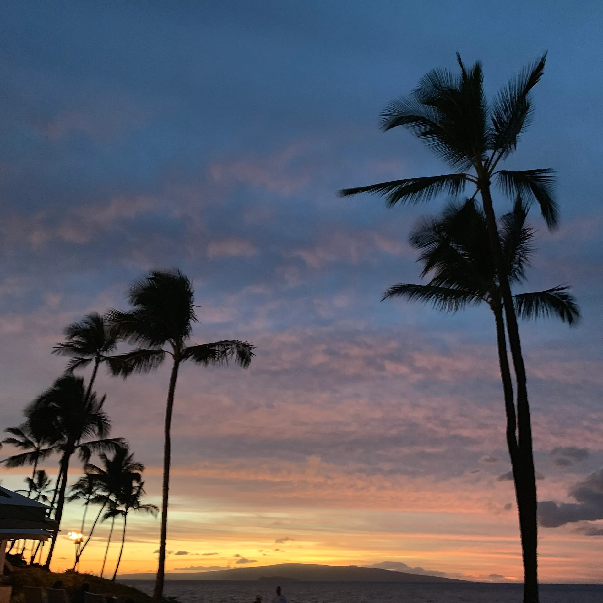 Palms against a blue and gold dusk sky over the ocean with an island on the horizon