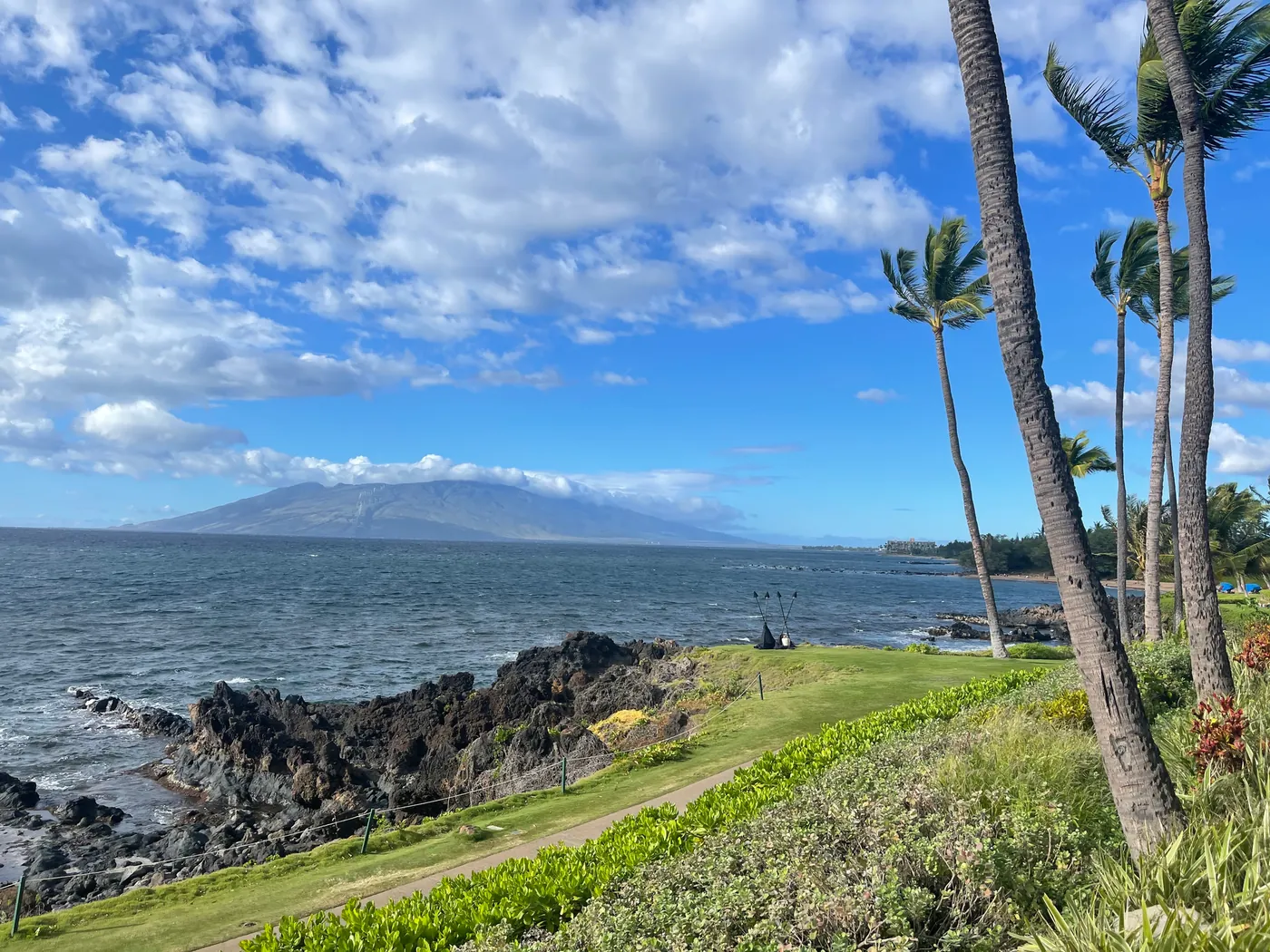 Coastal path beside a lava rock shoreline with palms and grass